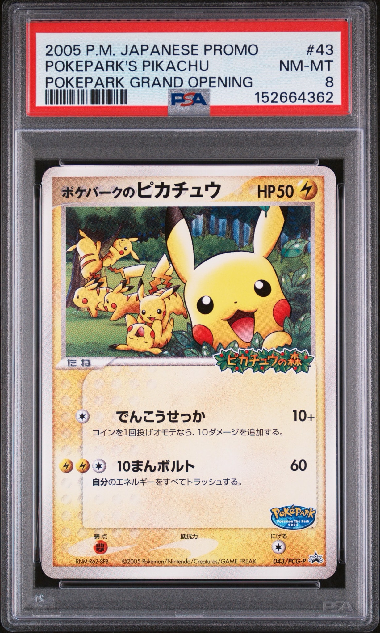 ポケパークのピカチュウ P [PCG-P 043](プロモーションカード