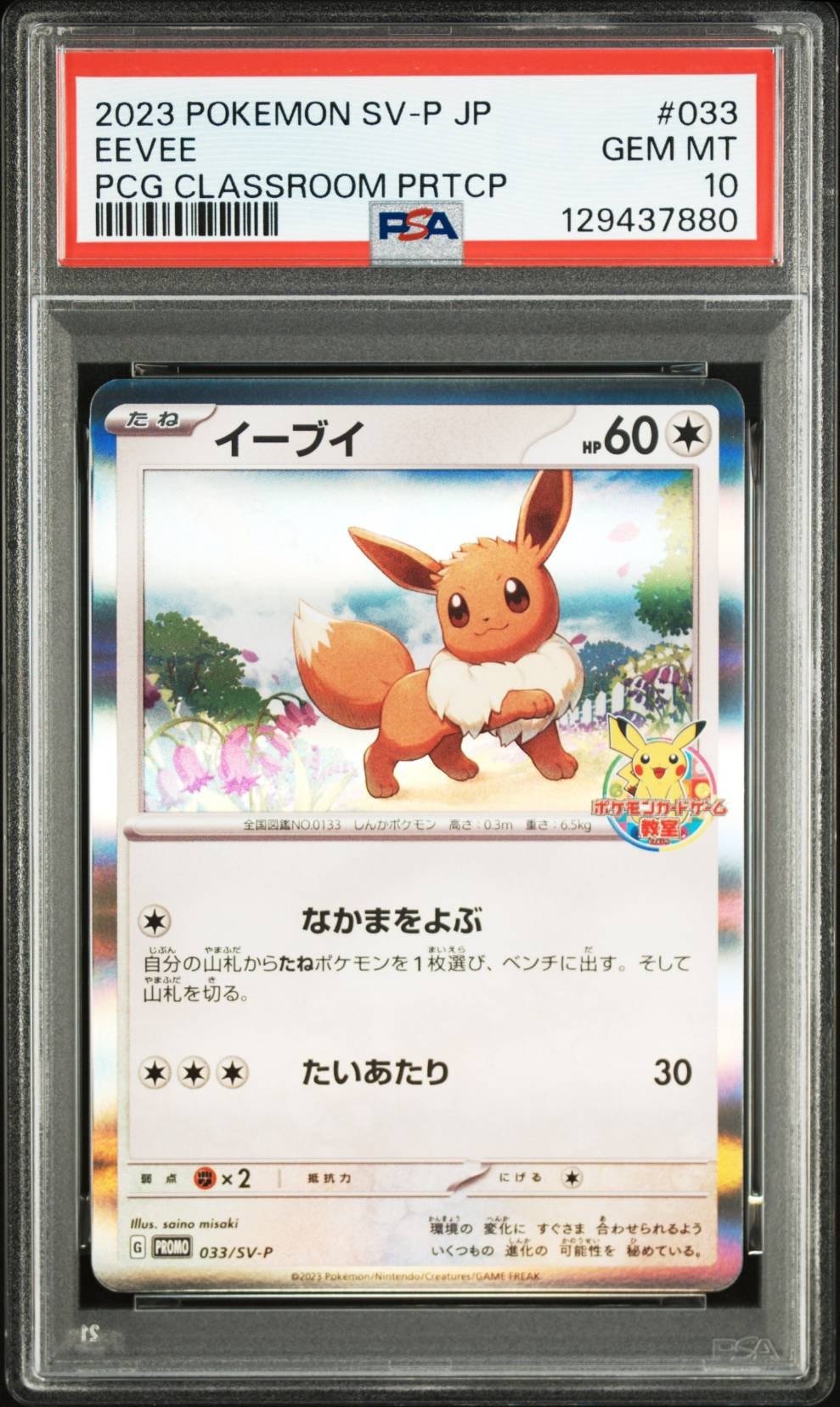 PSA10】メガリザードンXex MA [M2a 223/193](ハイクラスパック「MEGA