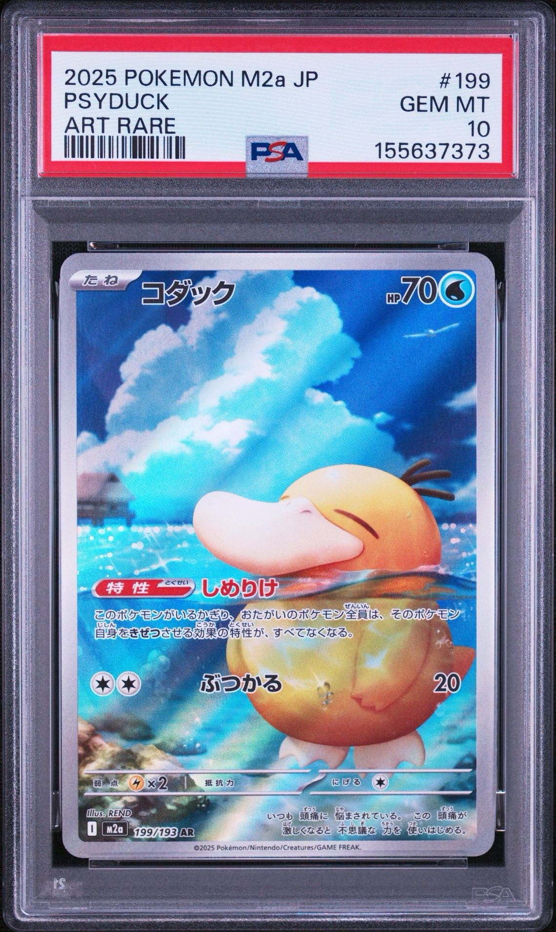 コダック AR [M2a 199/193](ハイクラスパック「MEGAドリームex」)