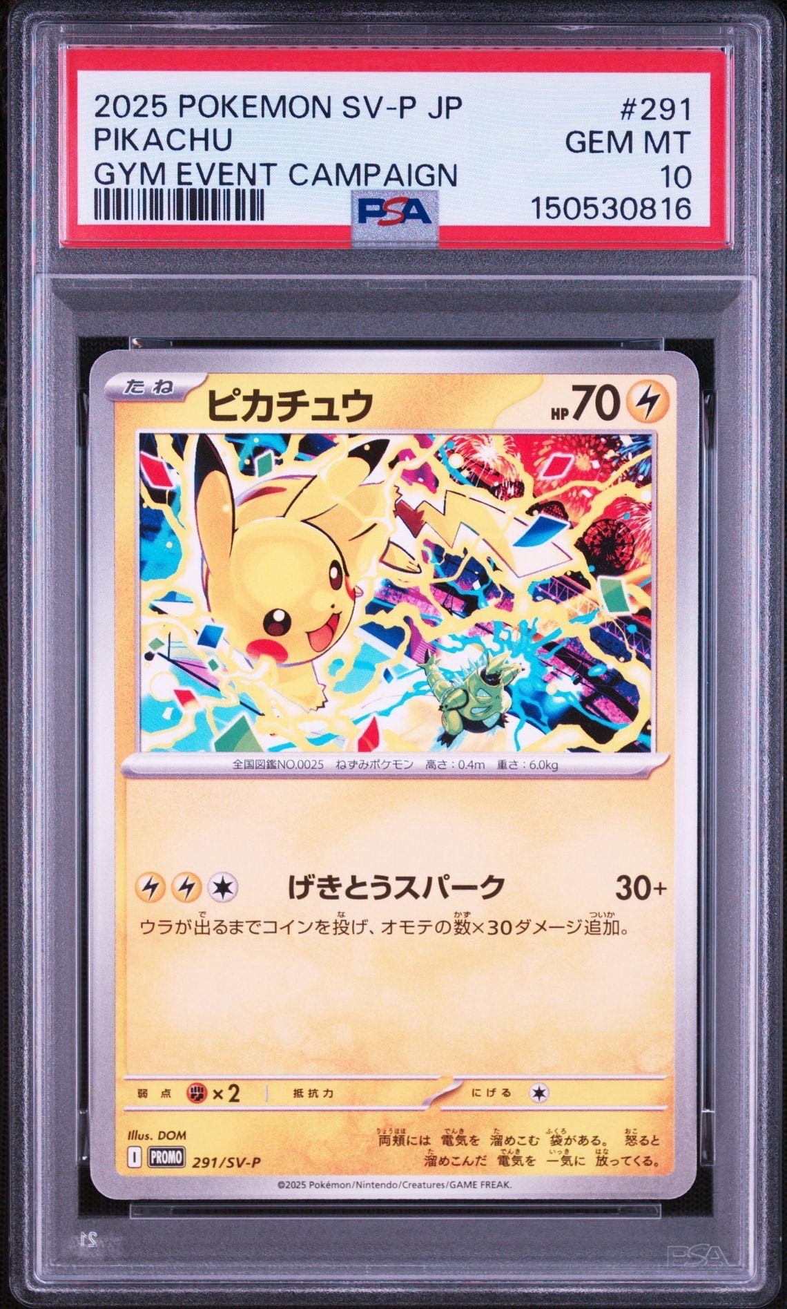 ピカチュウ P [SV-P 291](プロモーションカード「SV-P」)の新品/中古
