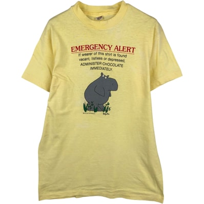 古着 70年代 ヘインズ Hanes プリントTシャツ USA製 メンズM相当 ヴィンテージ/eaa636213