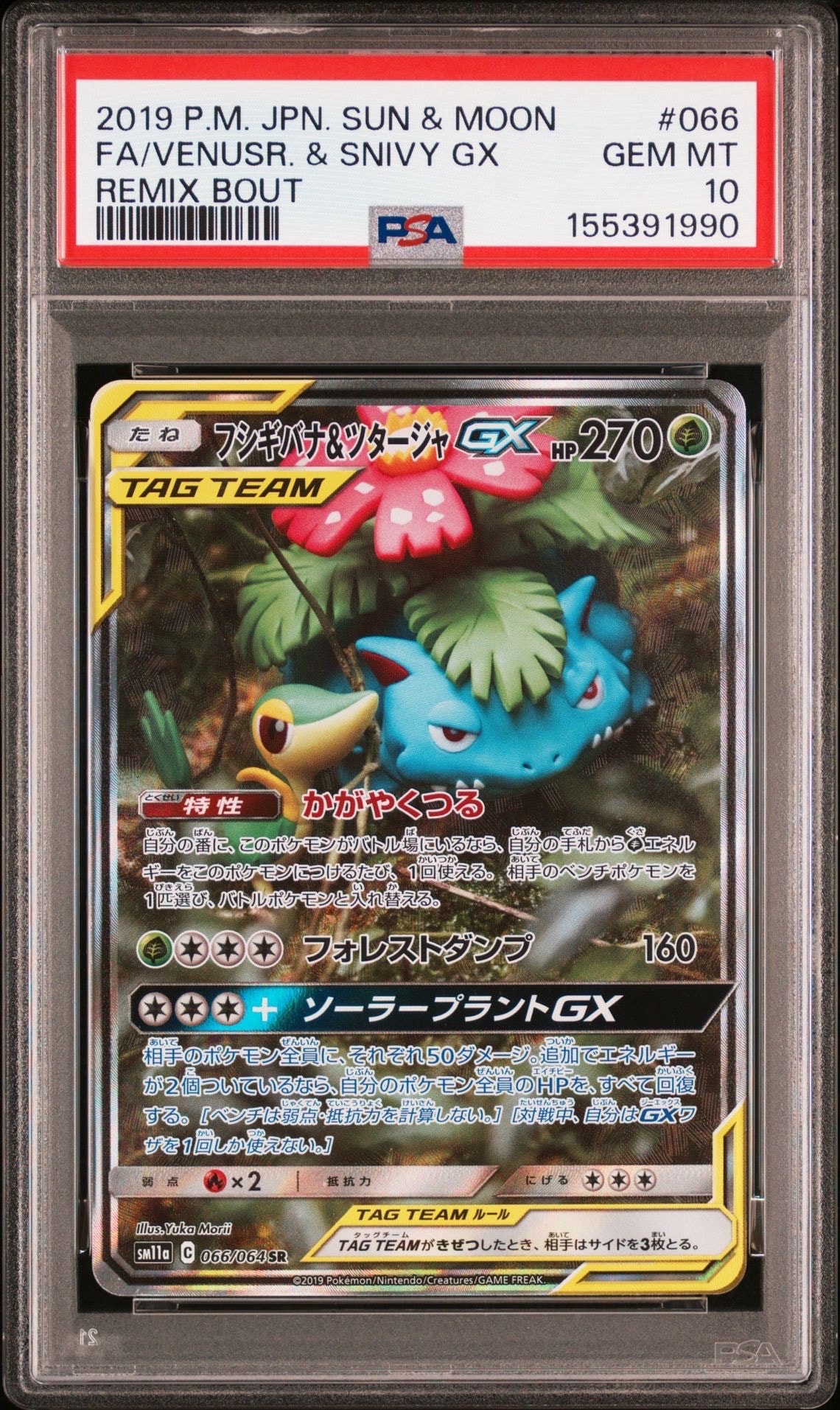 フシギバナ＆ツタージャGX SR SM11a リミックスバウト 066/064 フシギバナ&ツタージャGX SR: SA[SM11a 066/064](強化拡張パック