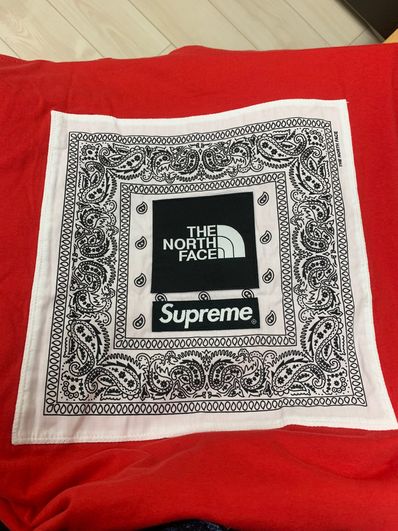 Supreme x The North Face Bandana Tee "Red"