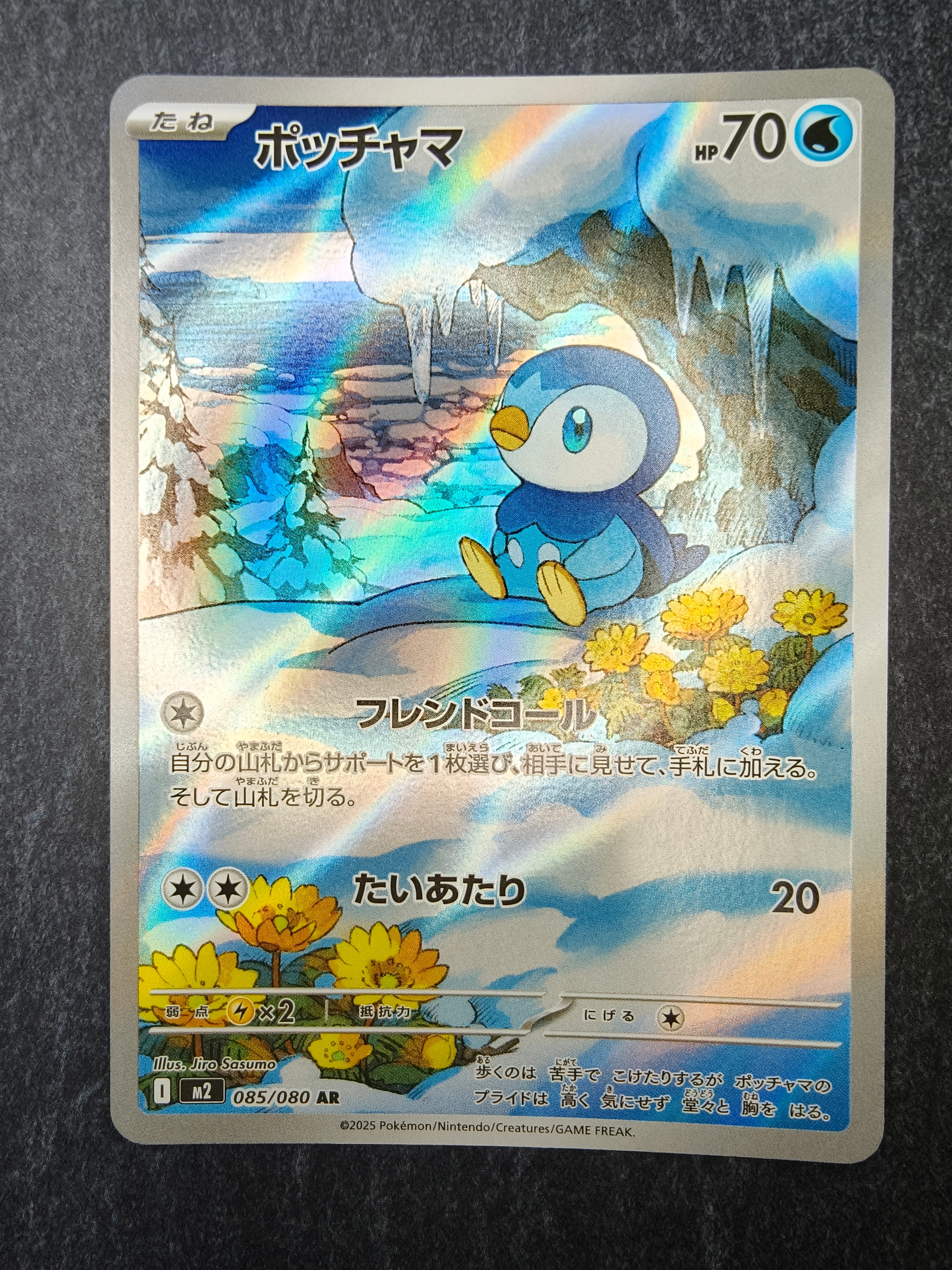 PSA10】ポッチャマ AR [M2 085/080](拡張パック「インフェルノX」) 1枚