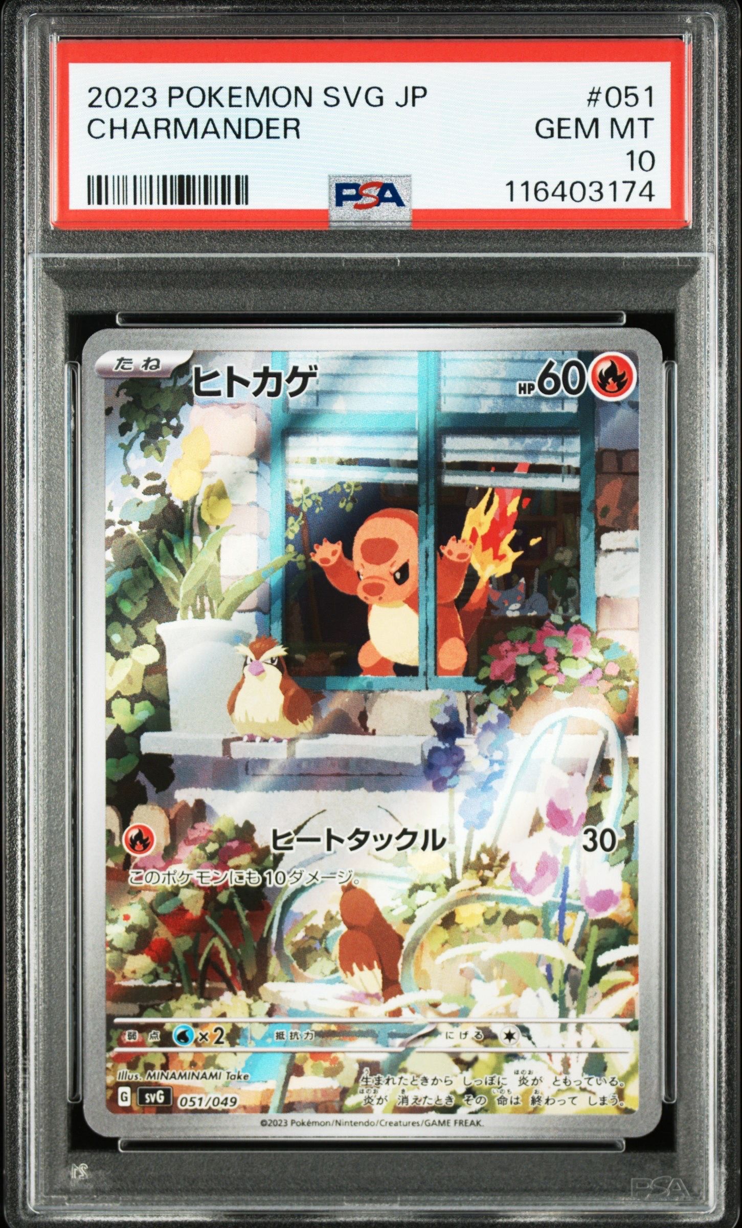 ヒトカゲ :フルイラスト [SVG 051/049](スペシャルデッキセットex「フシギバナ・リザードン・カメックス」)