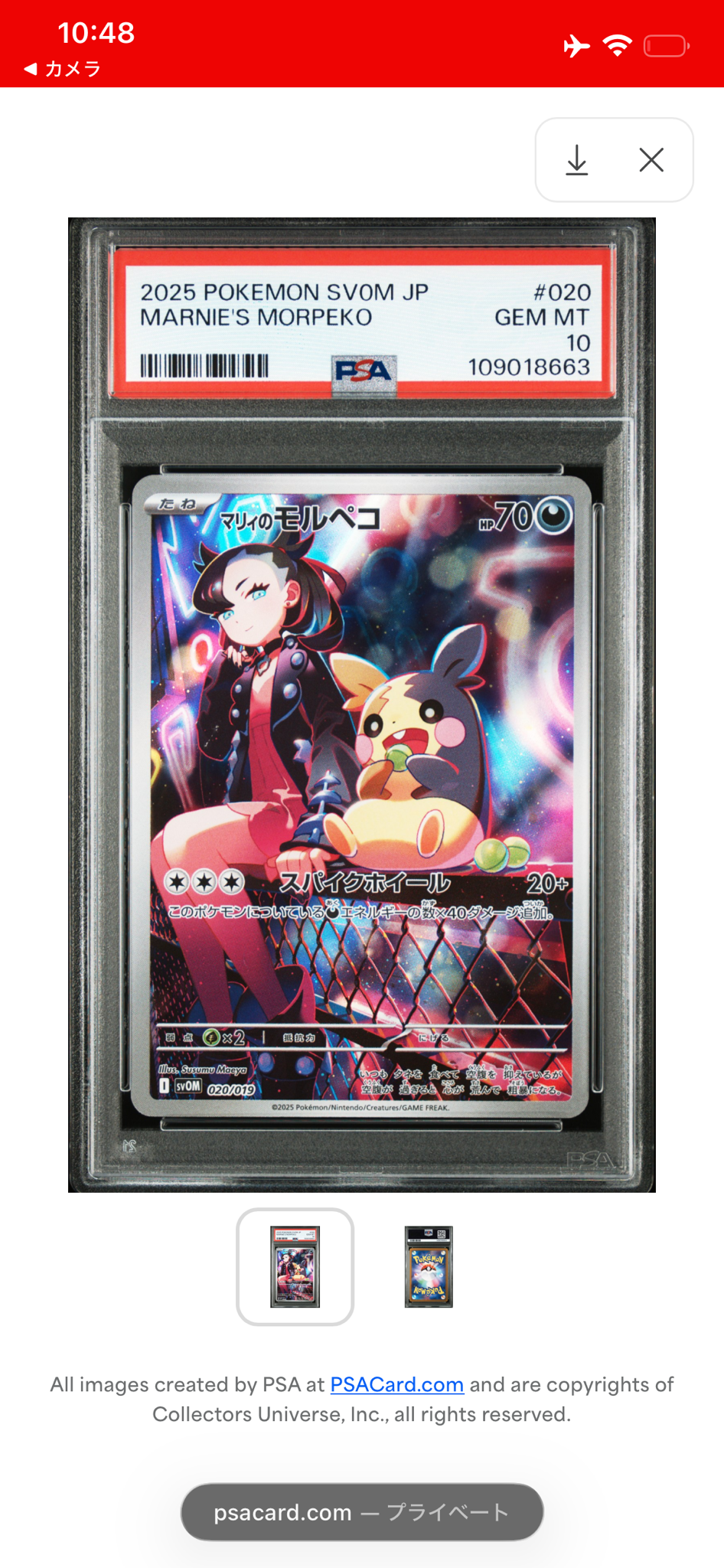 PSA10】マリィのモルペコ [SVOM 020/019](スターターセットex「マリィ