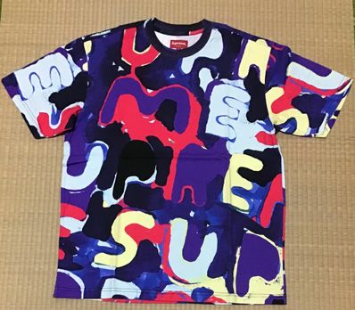 ペインテッドロゴ S/S T