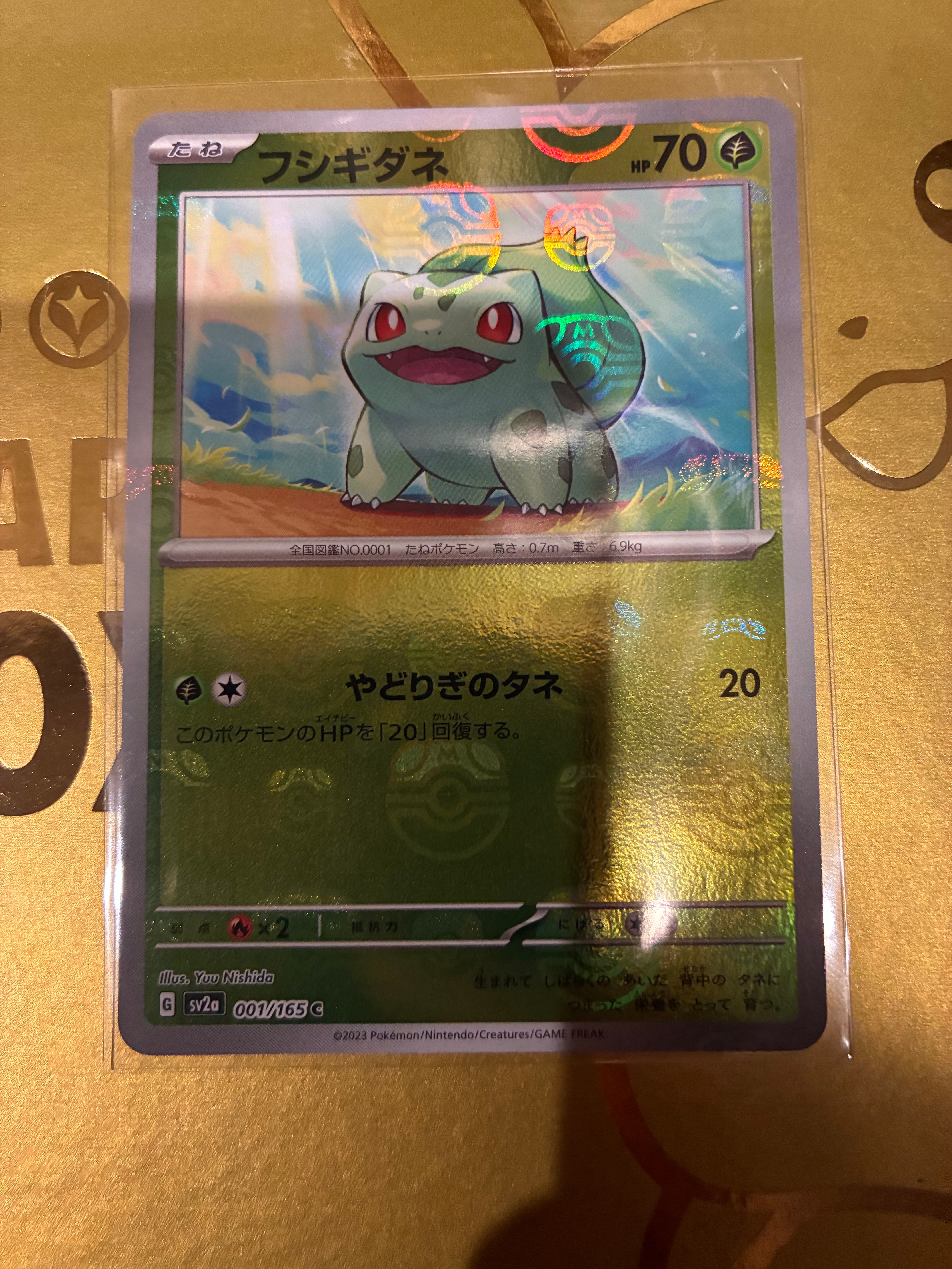 PSA10 ブラッキーGX HR 069/060 コレクション ムーン PSA10】ブラッキーGX HR 069/060 1枚の通販 土日祝休@magi公式