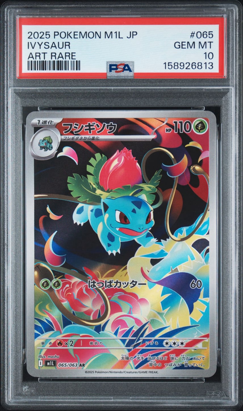 PSA10 フシギダネ AR フシギソウ AR 連番 まとめ売り メガブレイブ PSA10 フシギダネ AR フシギソウ AR 連番 まとめ売り メガブレイブ
