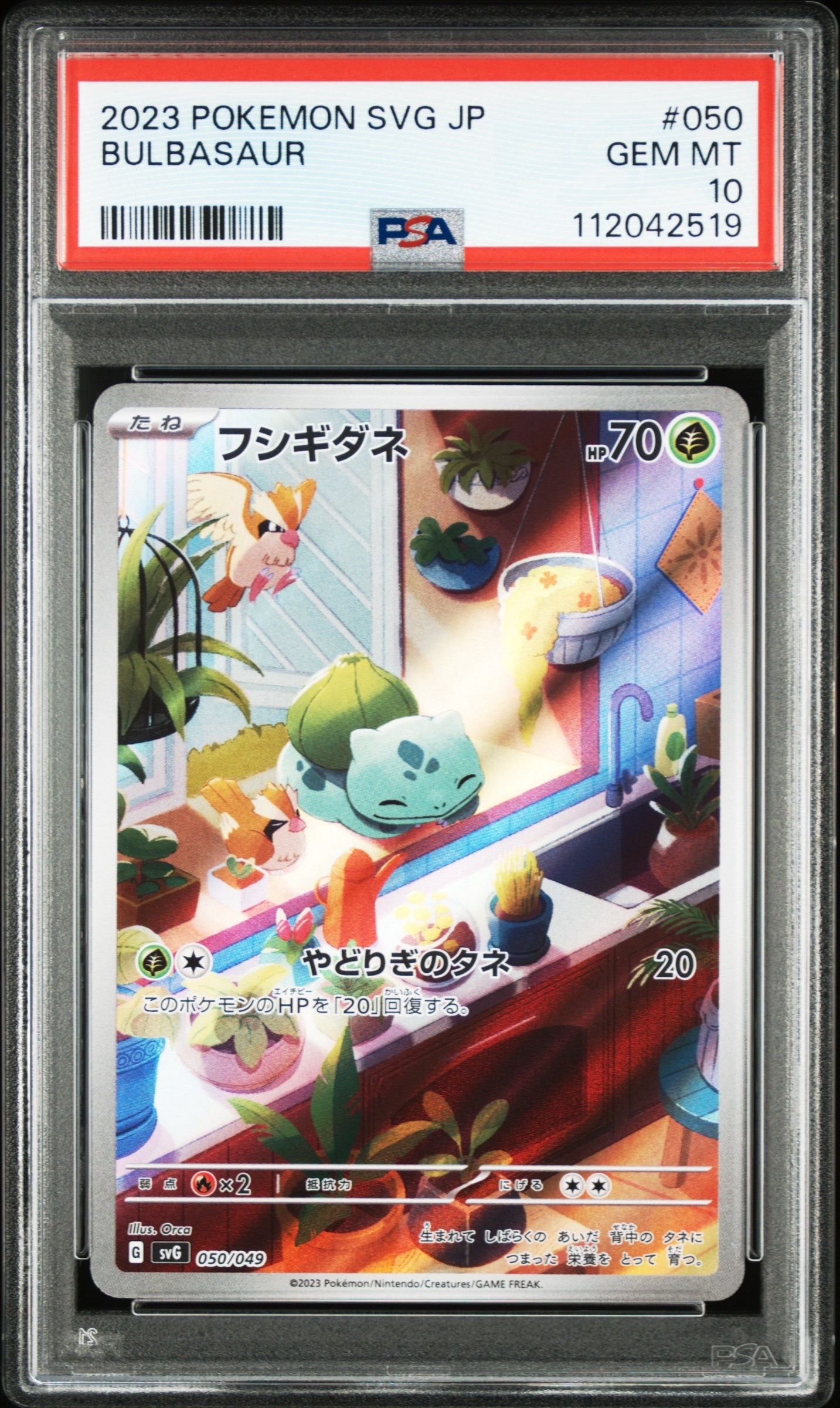 フシギダネ :フルイラスト [SVG 050/049](スペシャルデッキセットex「フシギバナ・リザードン・カメックス」)