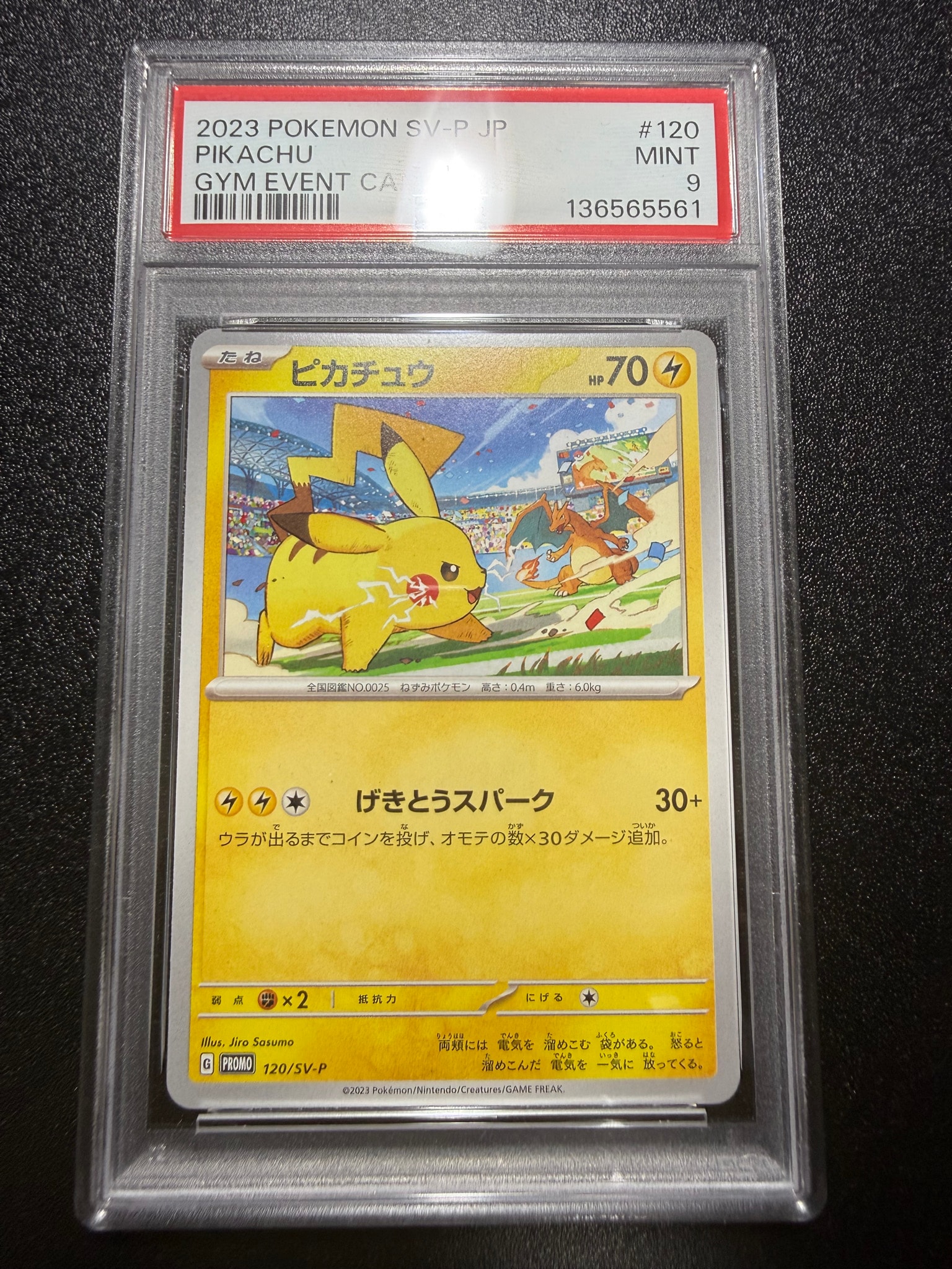 ピカチュウ: プロモ [SV-P 120](プロモーションカード「SV-P」)通販