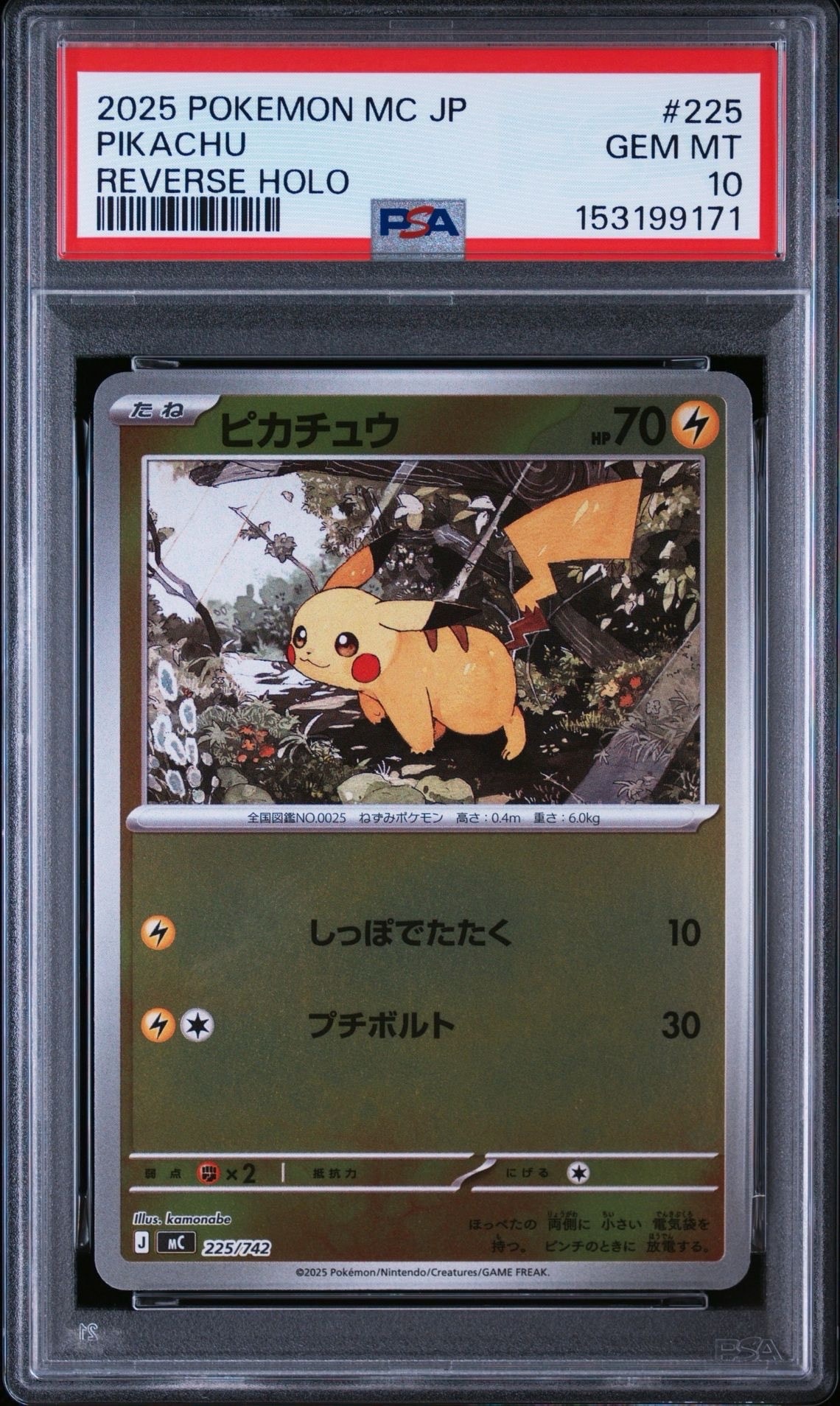 ピカチュウ P [SV-P 216](プロモカードパック「ポケカの夏がキタ
