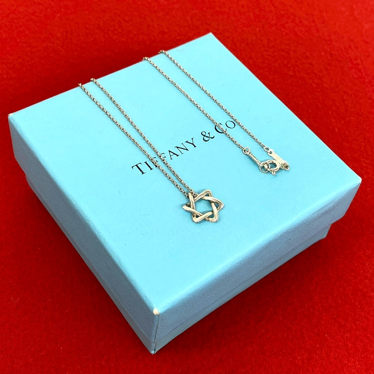 TIFFANY&Co. ティファニー スター オブ ダビデ ネックレス シルバー925 ネックレス シルバー
 98850