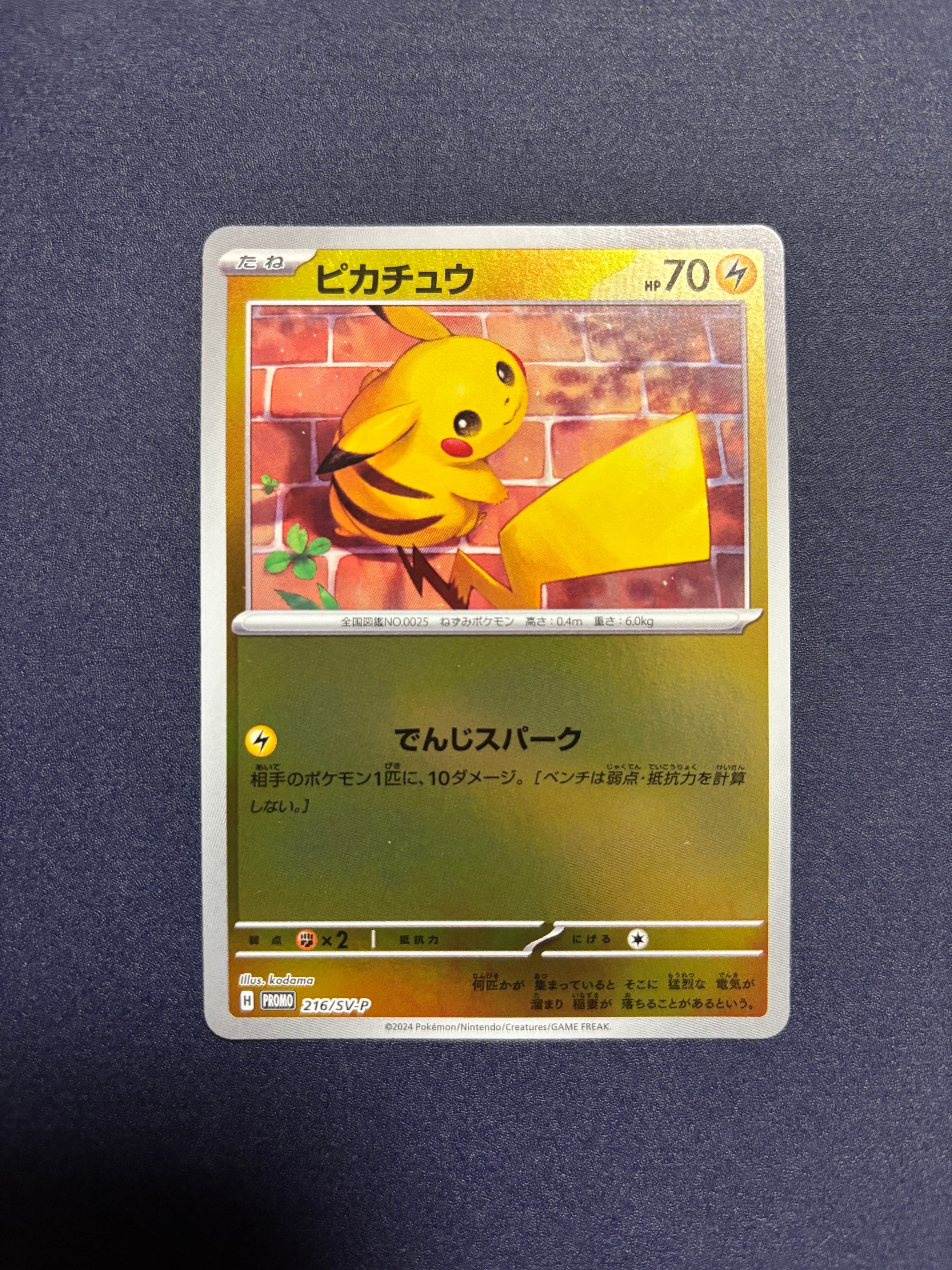 ピカチュウ P [SV-P 216](プロモカードパック「ポケカの夏がキタ!プロモカードGetキャンペーン!」)
