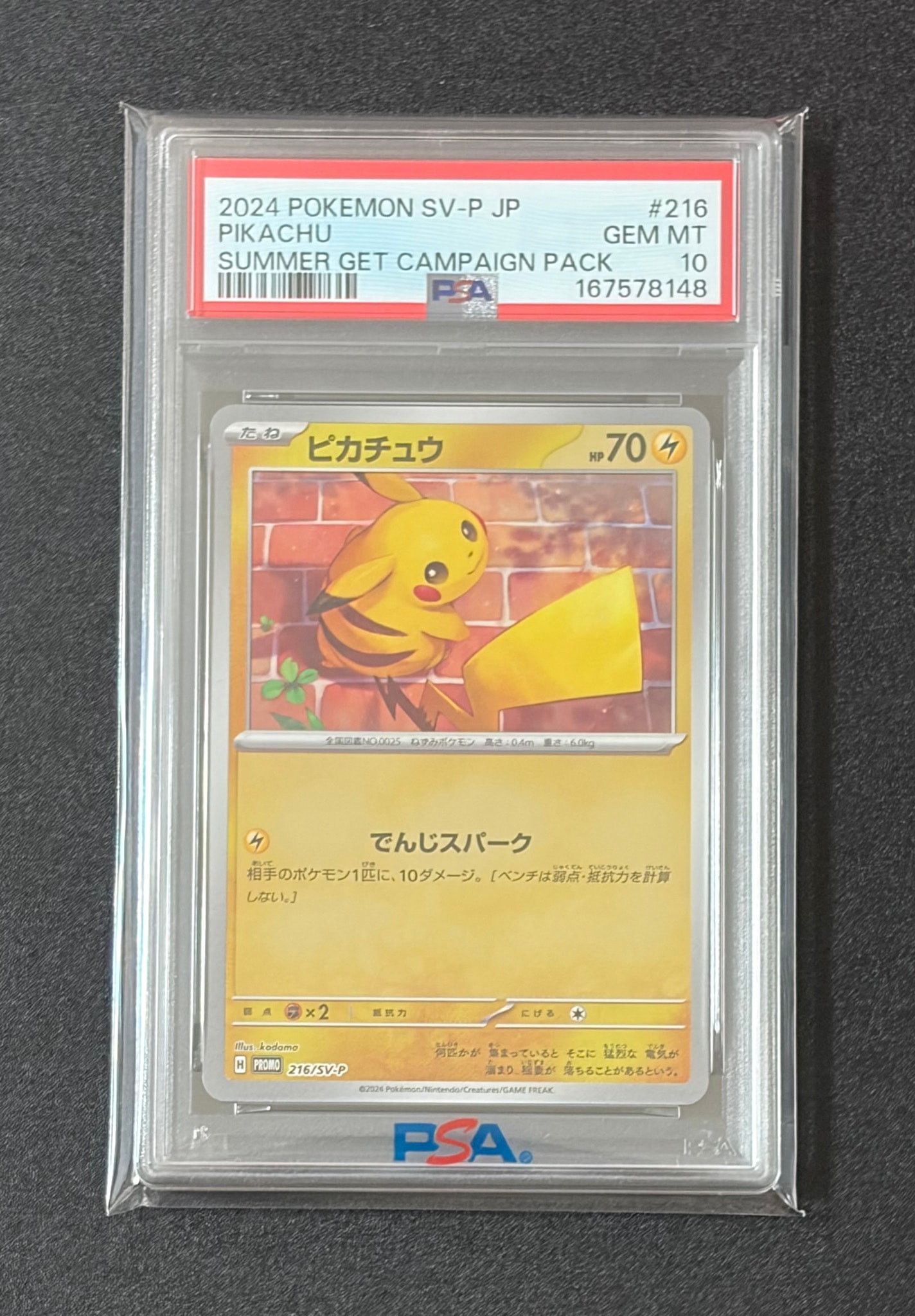 ピカチュウ P [SV-P 216](プロモカードパック「ポケカの夏がキタ!プロモカードGetキャンペーン!」)