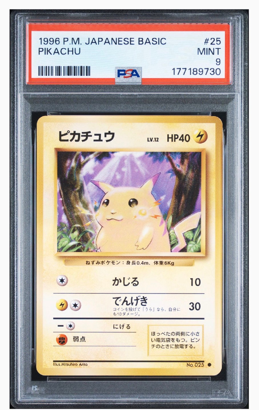 ピカチュウ ○ : 旧裏 [PMCG1-2](拡張パック「ポケットモンスター