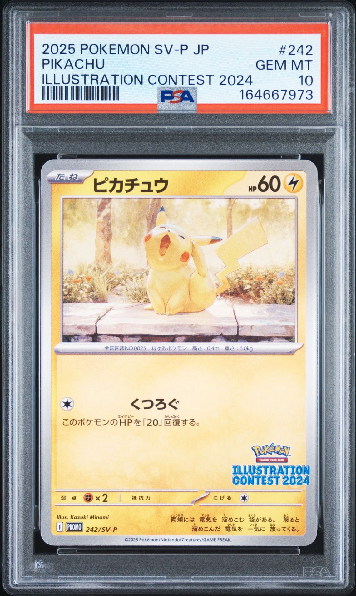 ピカチュウ [SV-P 242](プロモカードパック「イラストレーション