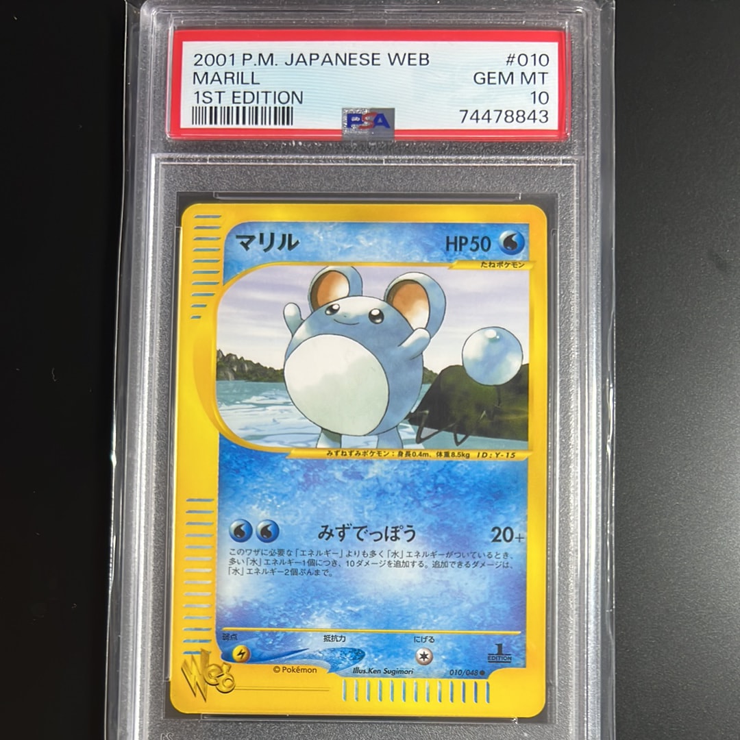 あったかピカチュウ: プロモ[XY-P 094/XY-P](プロモーションカード「XY