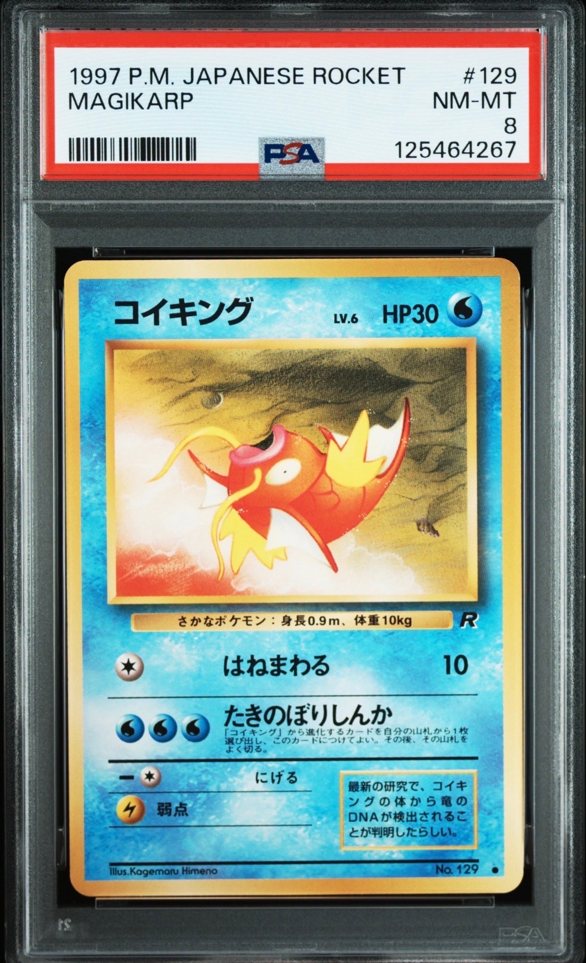 コイキング ● : 旧裏 [PMCG4 No.129](拡張パック「ロケット団」)