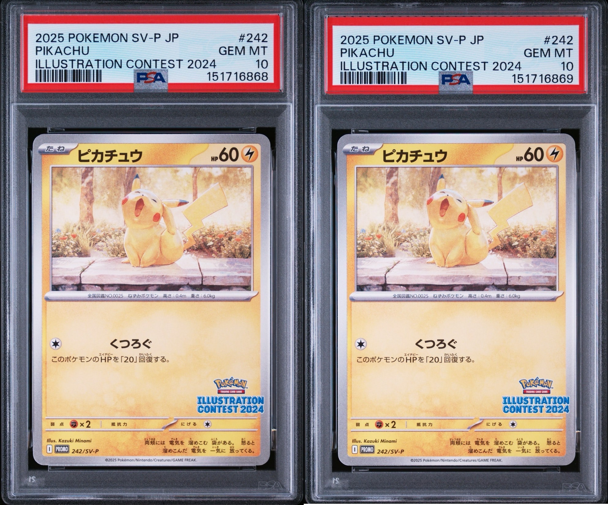ピカチュウ [SV-P 242](プロモカードパック「イラストレーション