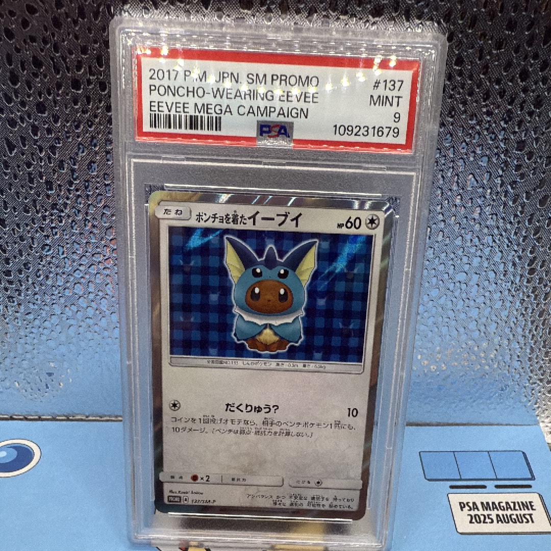 PSA9】ポンチョを着たイーブイ: プロモ[SM-P 137](プロモーション