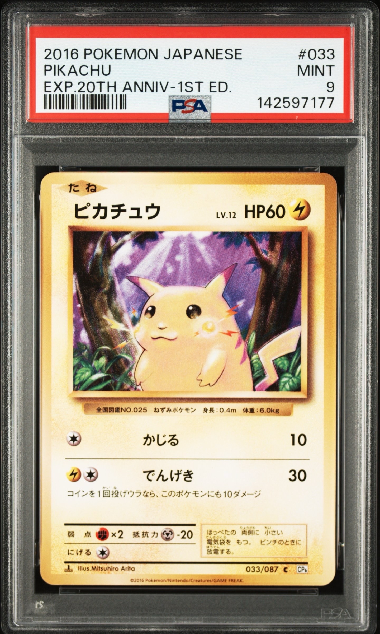ピカチュウ C :1ED [CP6 033/087](コンセプトパック「ポケットモンスターカードゲーム 拡張パック 20th Anniversary」)