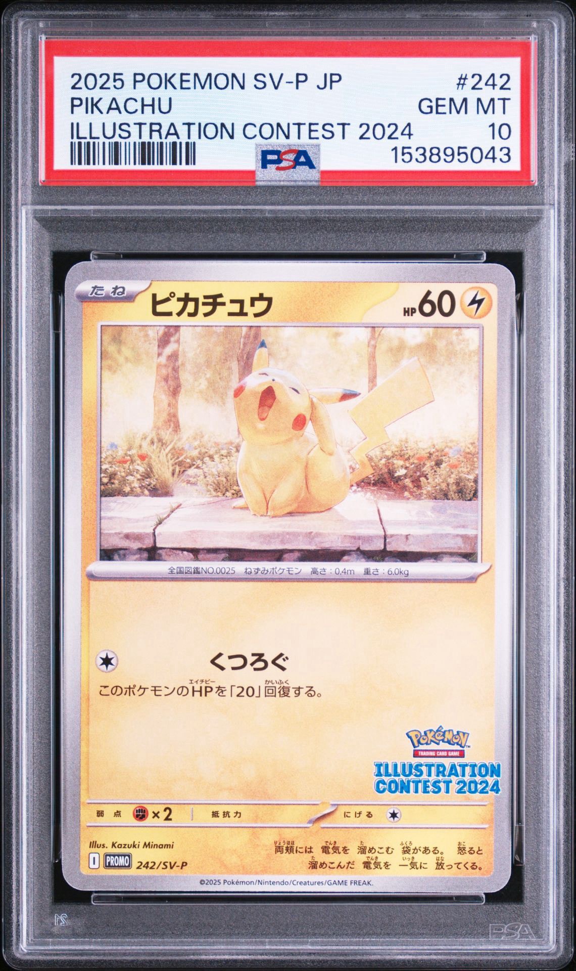 ピカチュウ [SV-P 242](プロモカードパック「イラストレーション