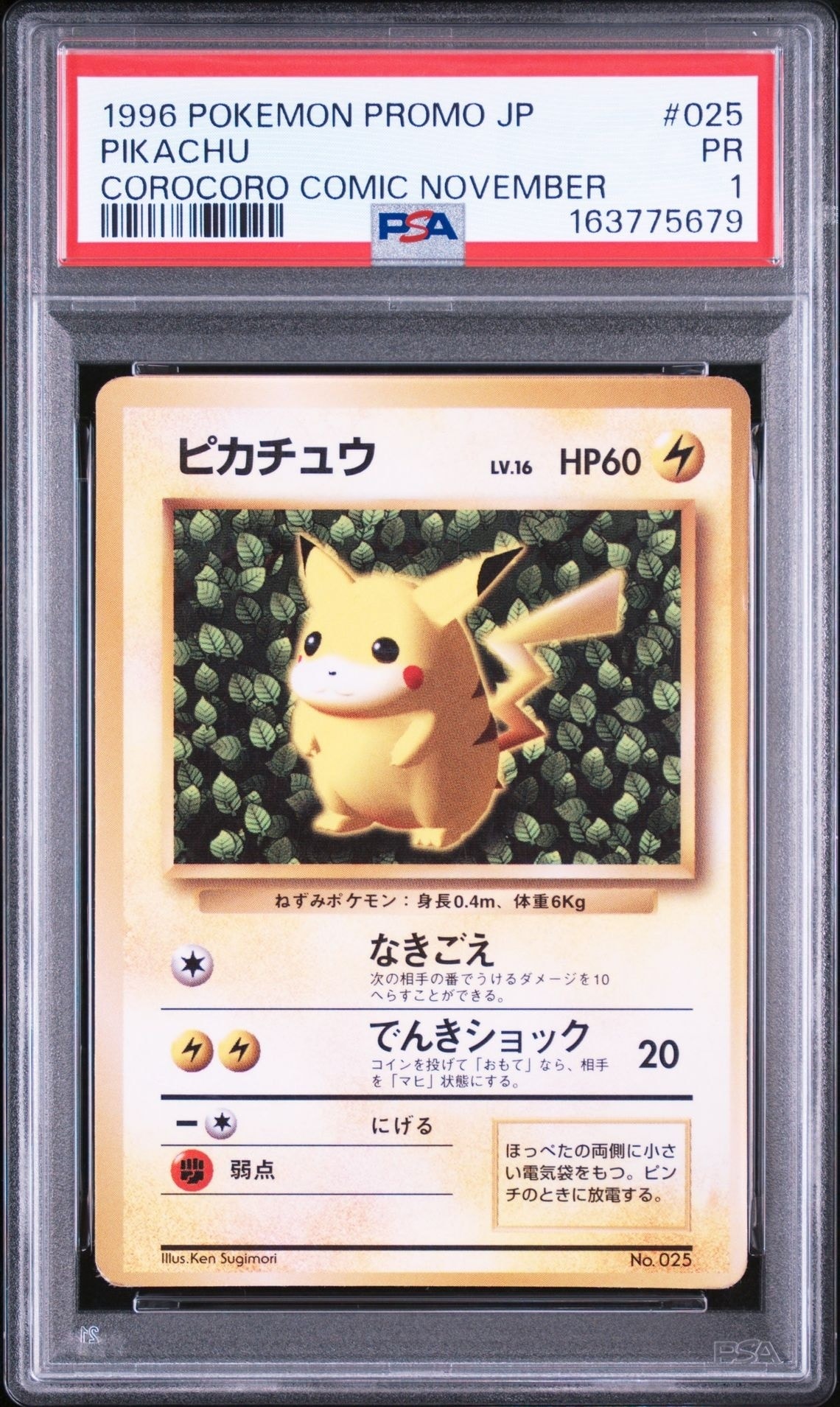 7910883.jpeg?size=m