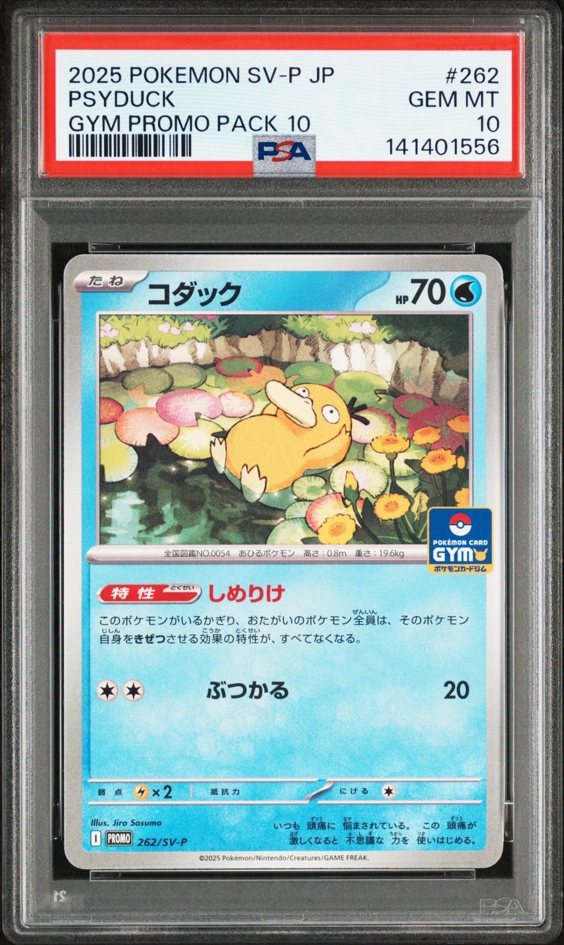 コダック P [SV-P 262](プロモカードパック「第10弾」)