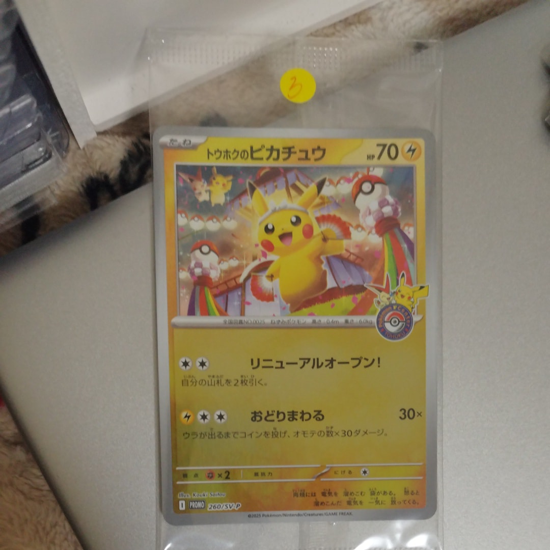 トウホクのピカチュウ P [SV-P 260](スペシャルBOX「ポケモンセンタートウホク」)