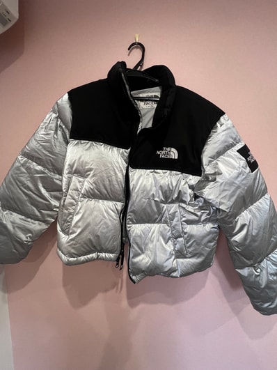 The North Face White Label Novelty Nuptse Down Jacket (W) "Silver"