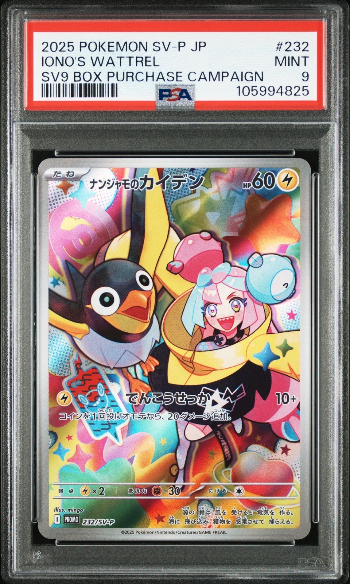 ナンジャモのカイデン P [SV-P 232](プロモーションカード「拡張パック バトルパートナーズ Box購入キャンペーン」)