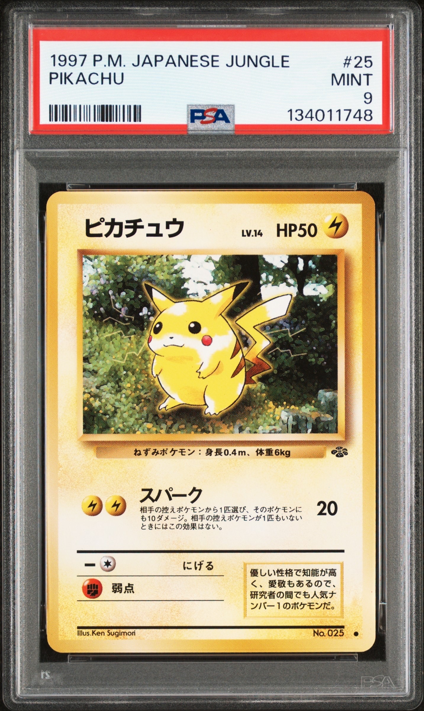 ピカチュウ ● : 旧裏 [PMCG2 No.025](拡張パック「ポケモンジャングル」)