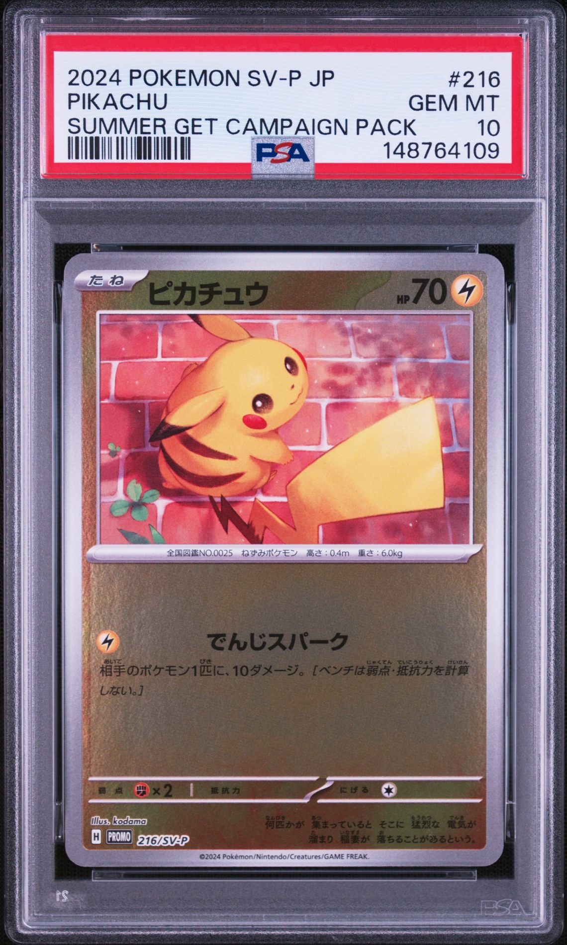 PSA10】ピカチュウ P [SV-P 216](プロモカードパック「ポケカの夏が