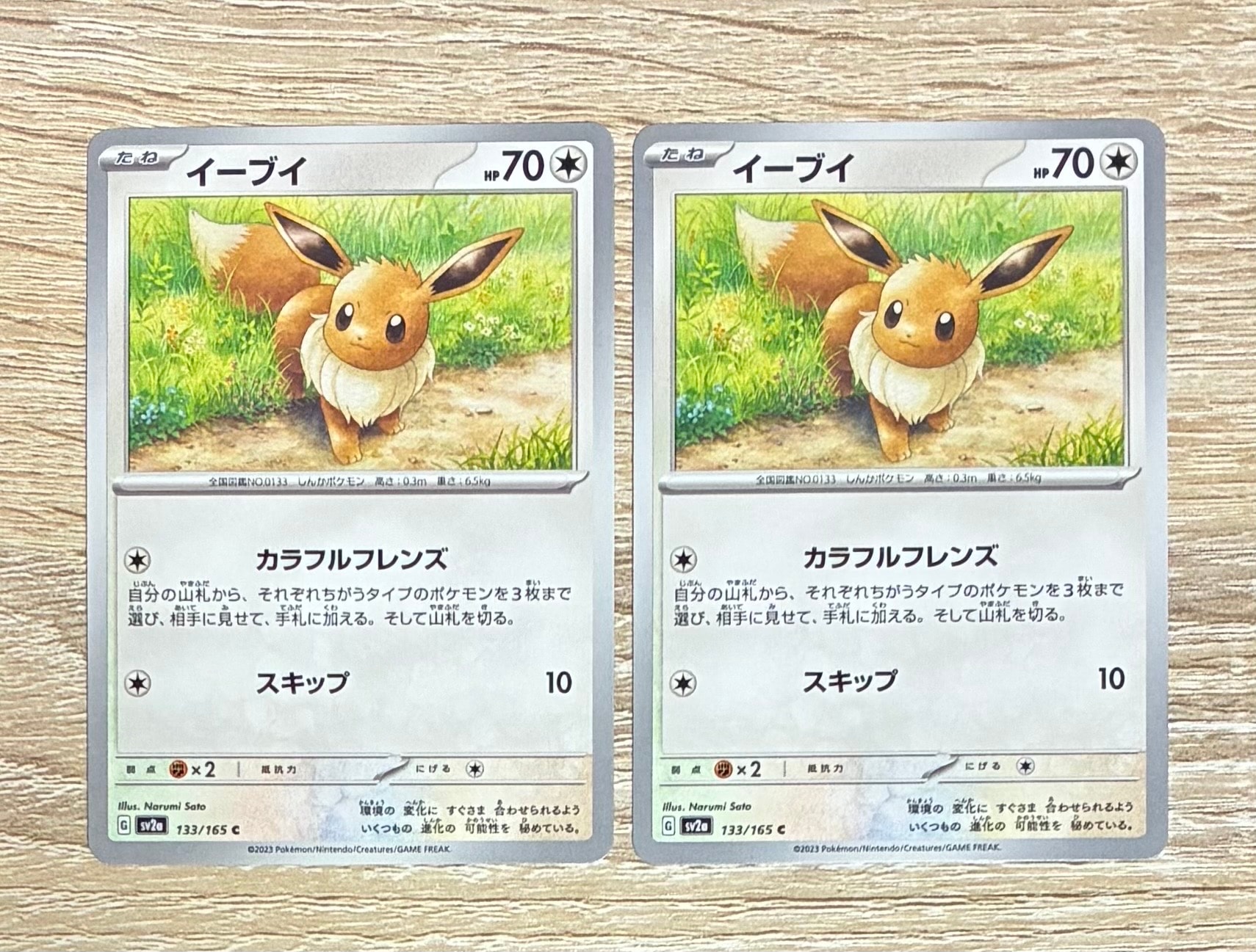 ゲンシグラードンEX RR :1ED [XY5 040/070](拡張パック「ガイア