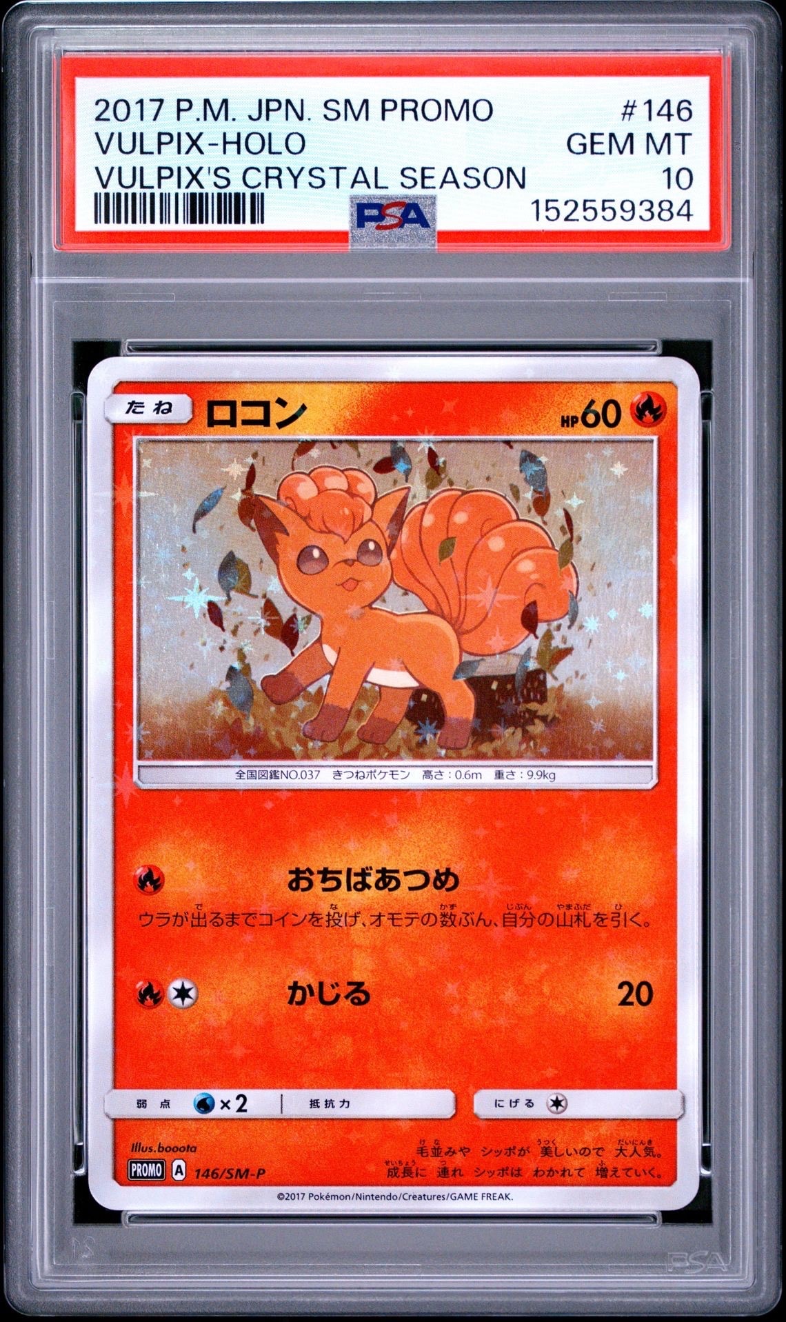 ロコン: プロモ[SM-P 146](プロモーションカード「SM-P」)の新品/中古