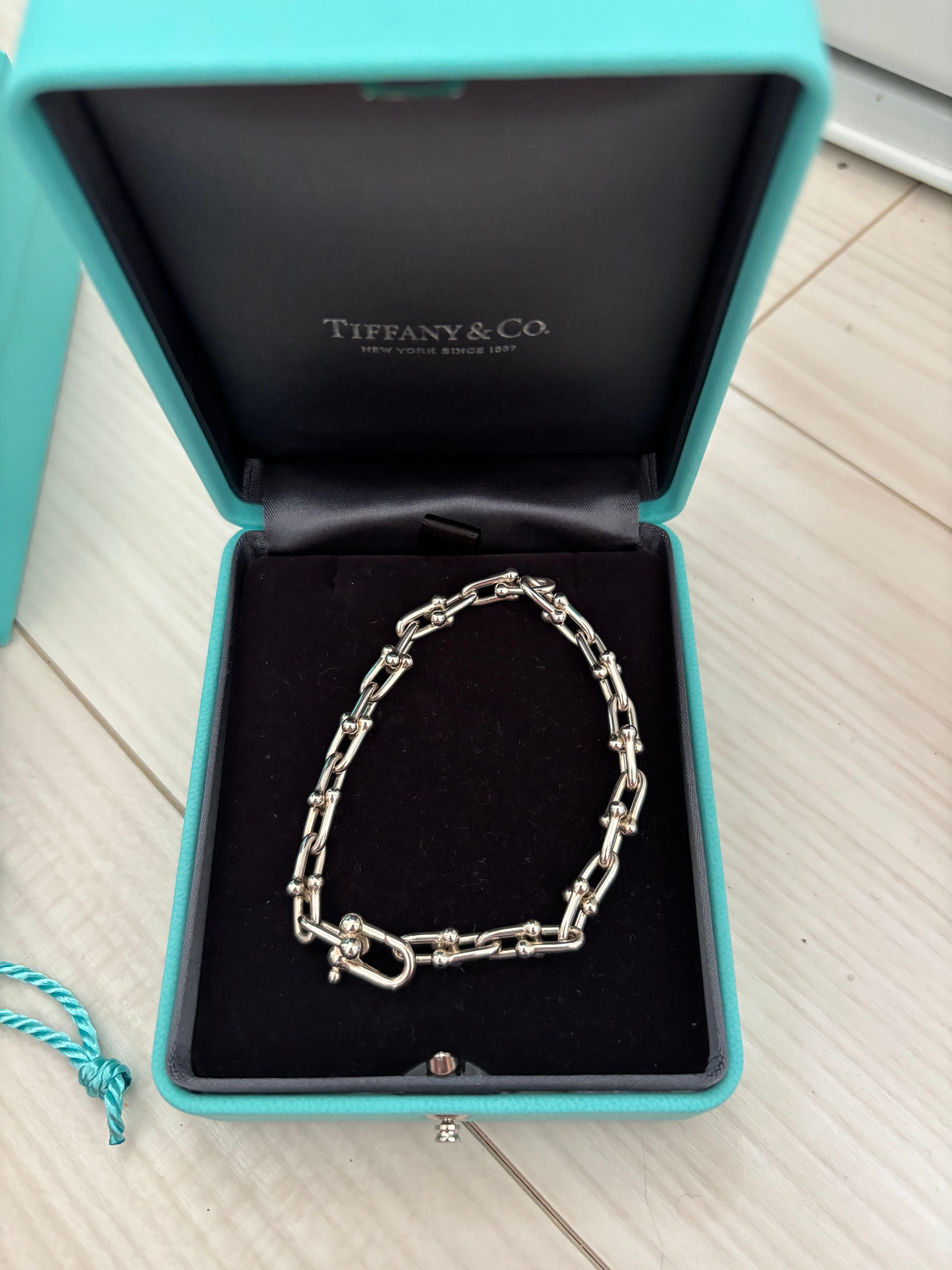 Tiffany & Co. HardWear Small Link Bracelet in Silver