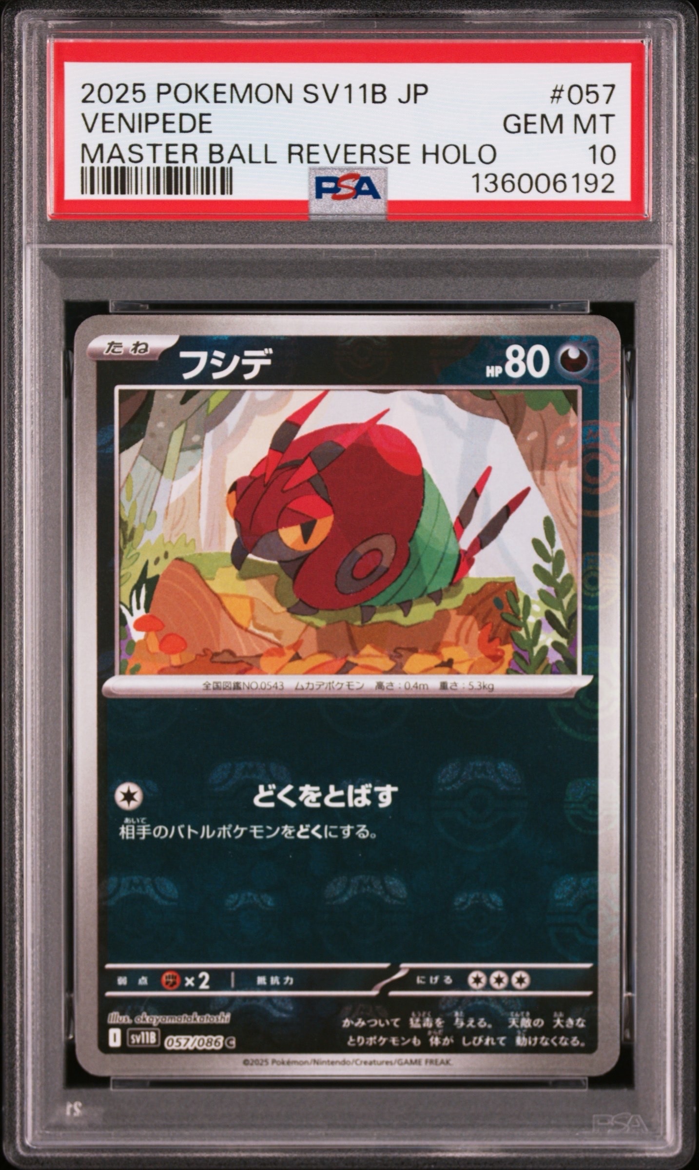 フシデ C :マスターボールミラー [SV11B 057/086](拡張パック「ブラックボルト」)