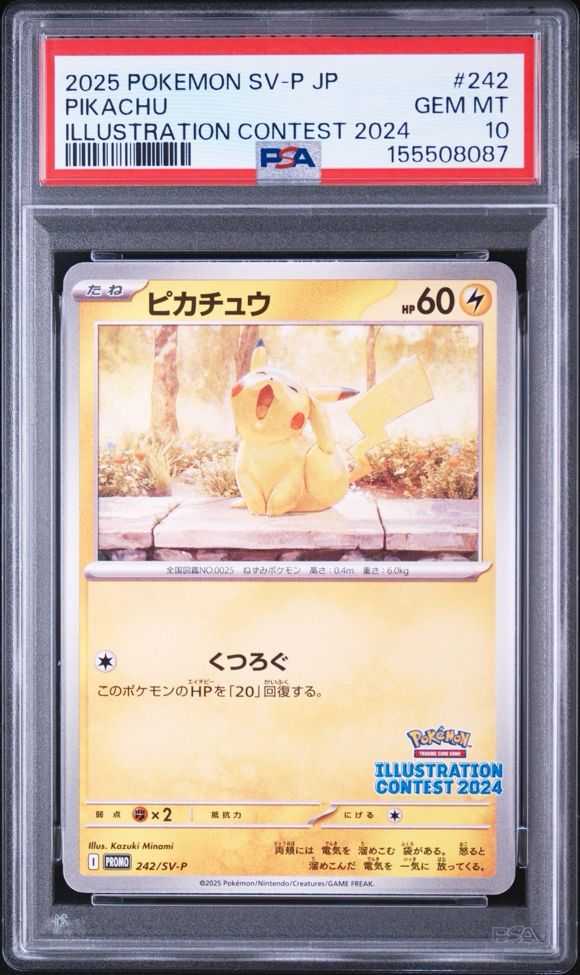 PSA10】ピカチュウ [SV-P 242](プロモカードパック
