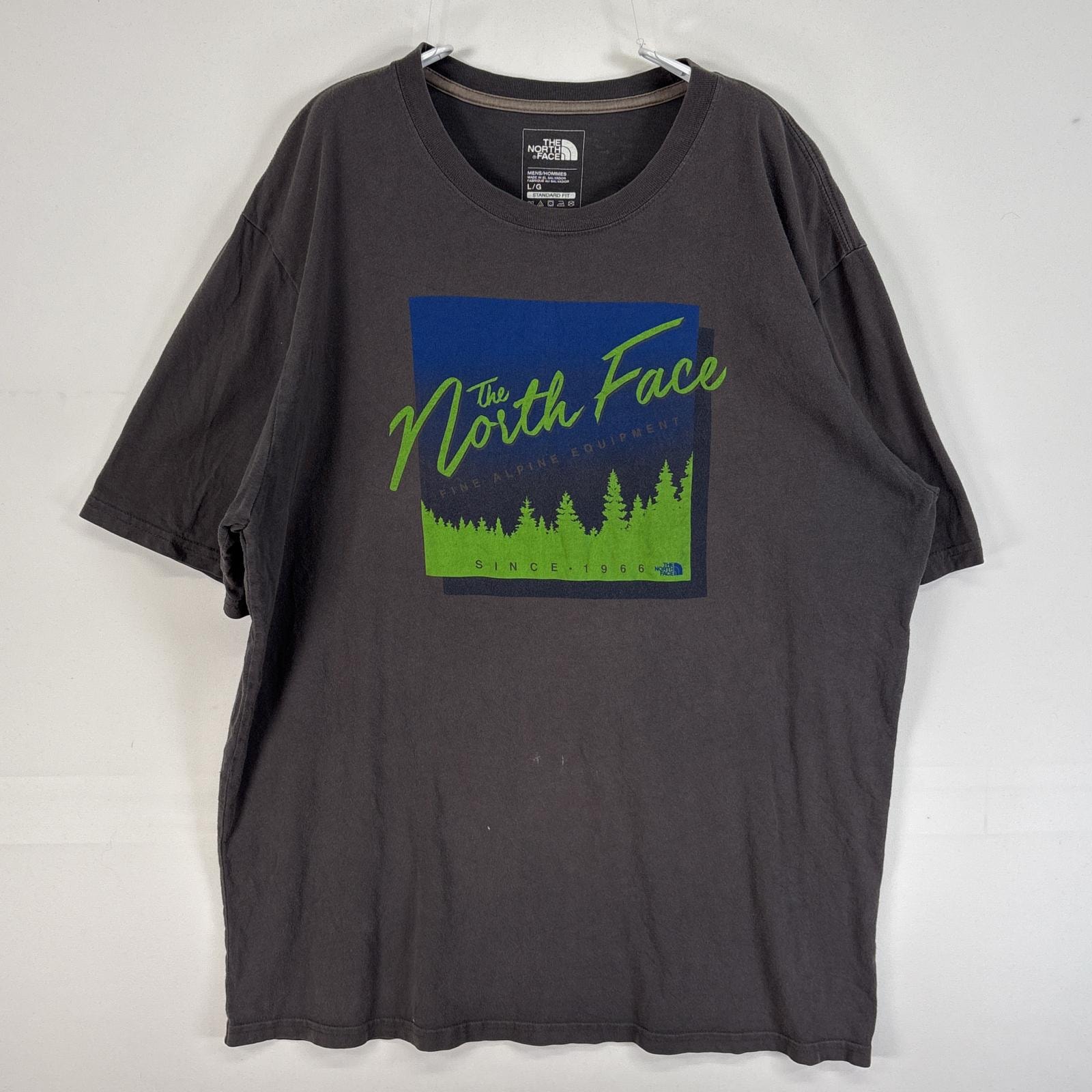 古着 ザ・ノースフェイス THE NORTH FACE 半袖Tシャツ プリント フェード アウトドア L  グレー メンズ