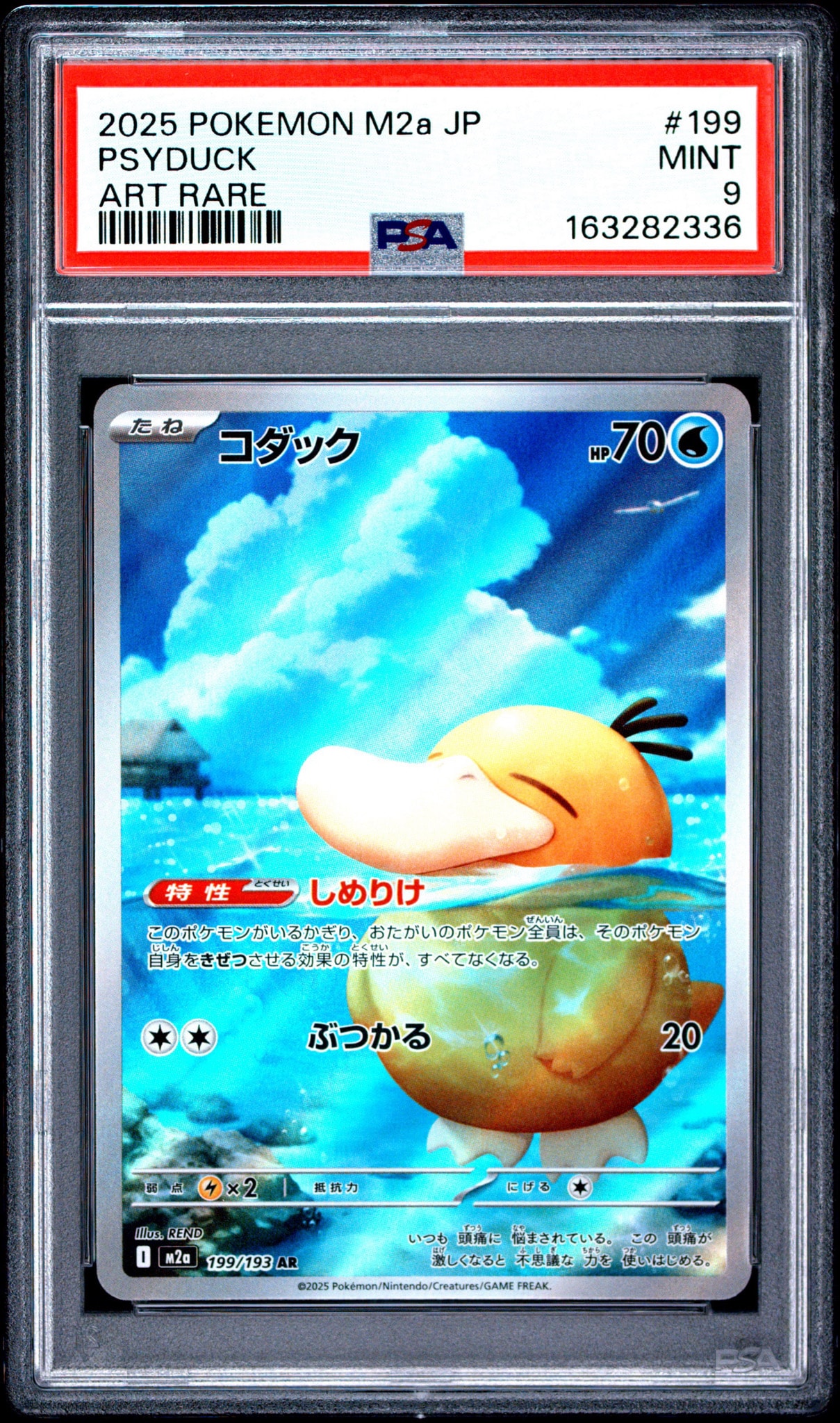コダック AR [M2a 199/193](ハイクラスパック「MEGAドリームex」)