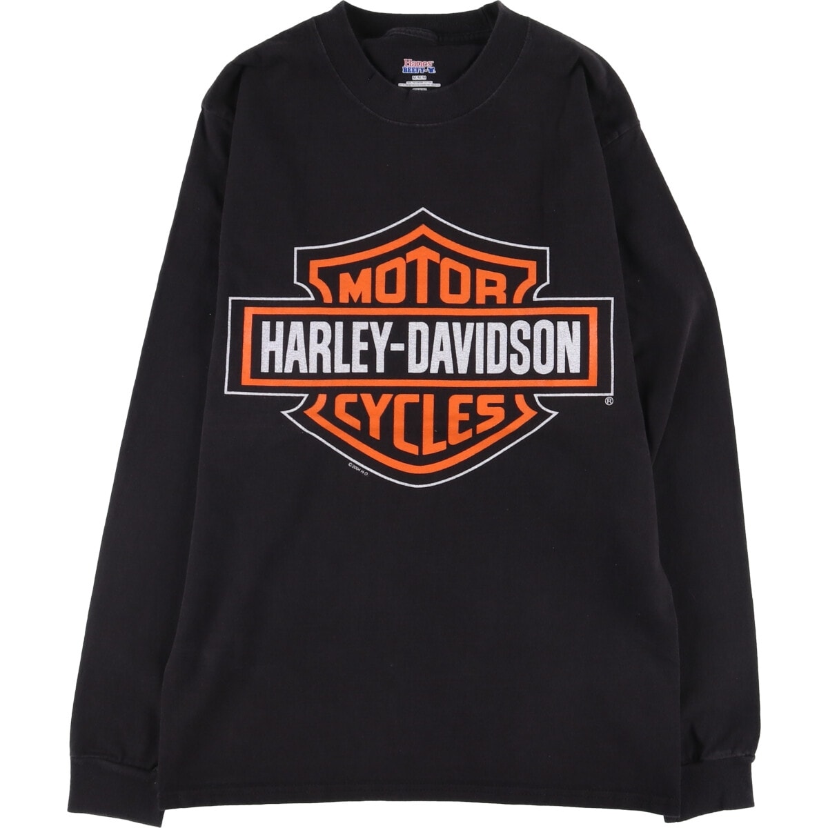 古着 ヘインズ Hanes Harley-Davidson ハーレーダビッドソン モーターサイクル バイクTシャツ メンズM相当/eaa549991