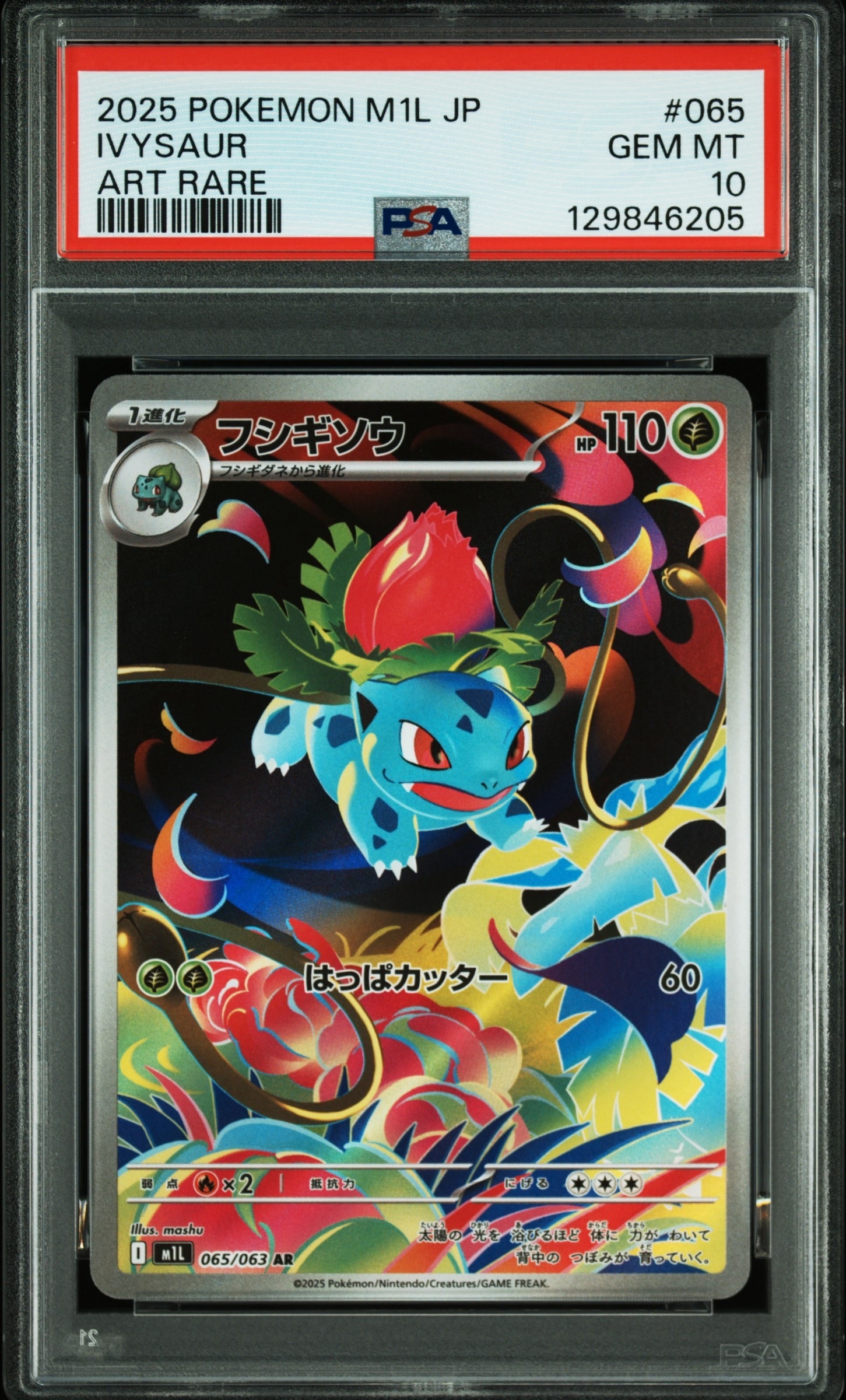 ナンジャモ SAR[SV2D 096/071](拡張パック「クレイバースト」)の新品