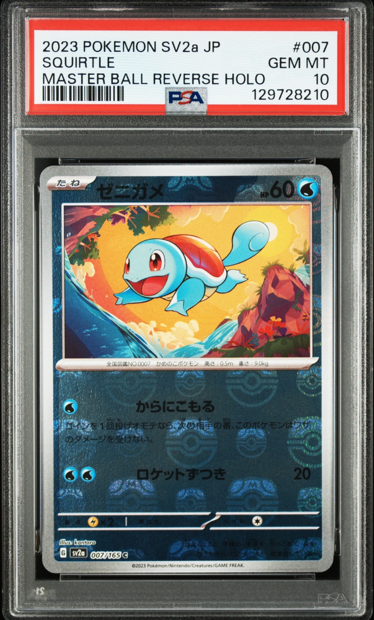 ゼニガメ C: マスターボールミラー[SV2a 007/165](強化拡張パック「ポケモンカード151」)