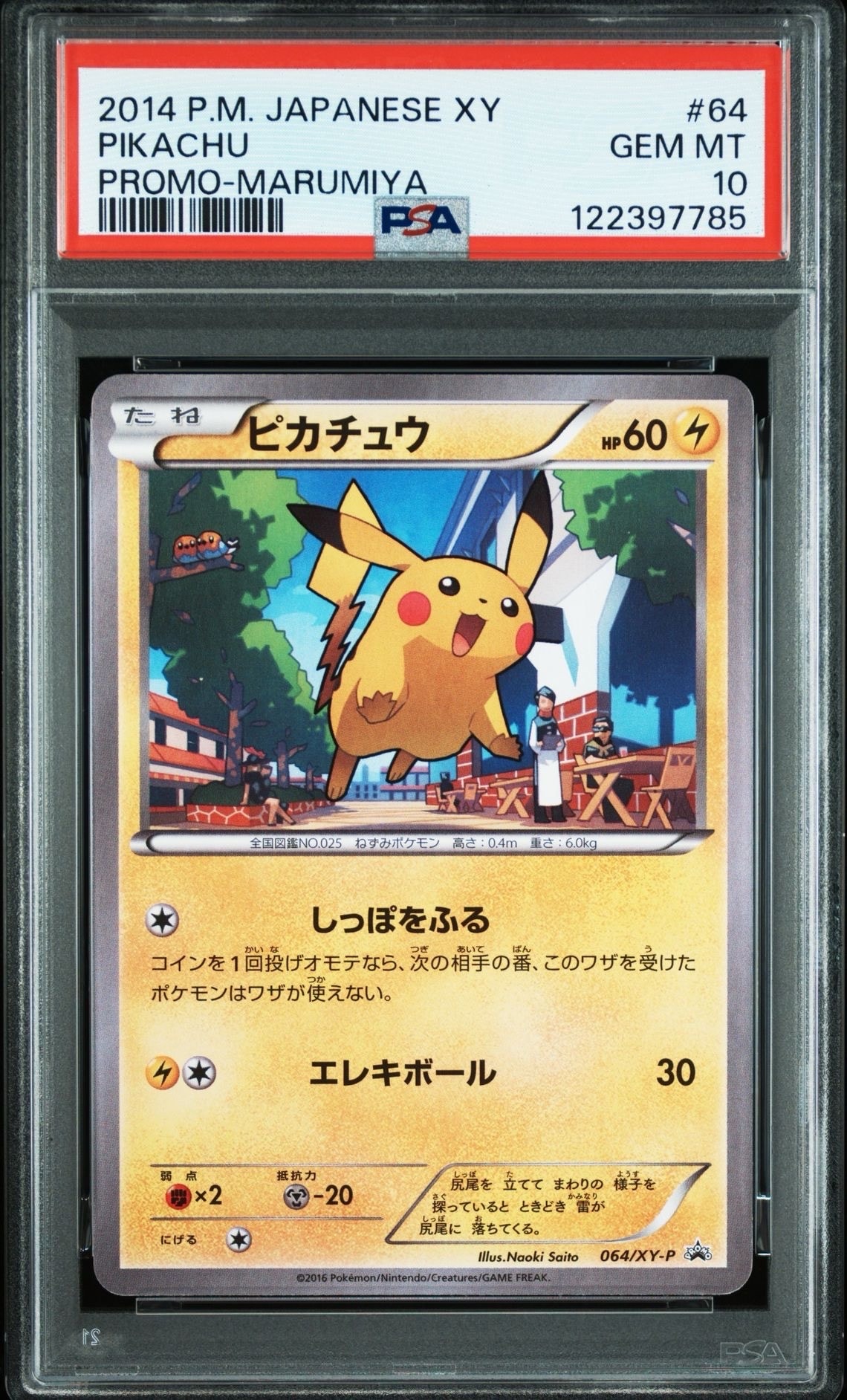 PSA10】ピカチュウ P [XY-P 064](プロモーションカード「熱戦にそなえ