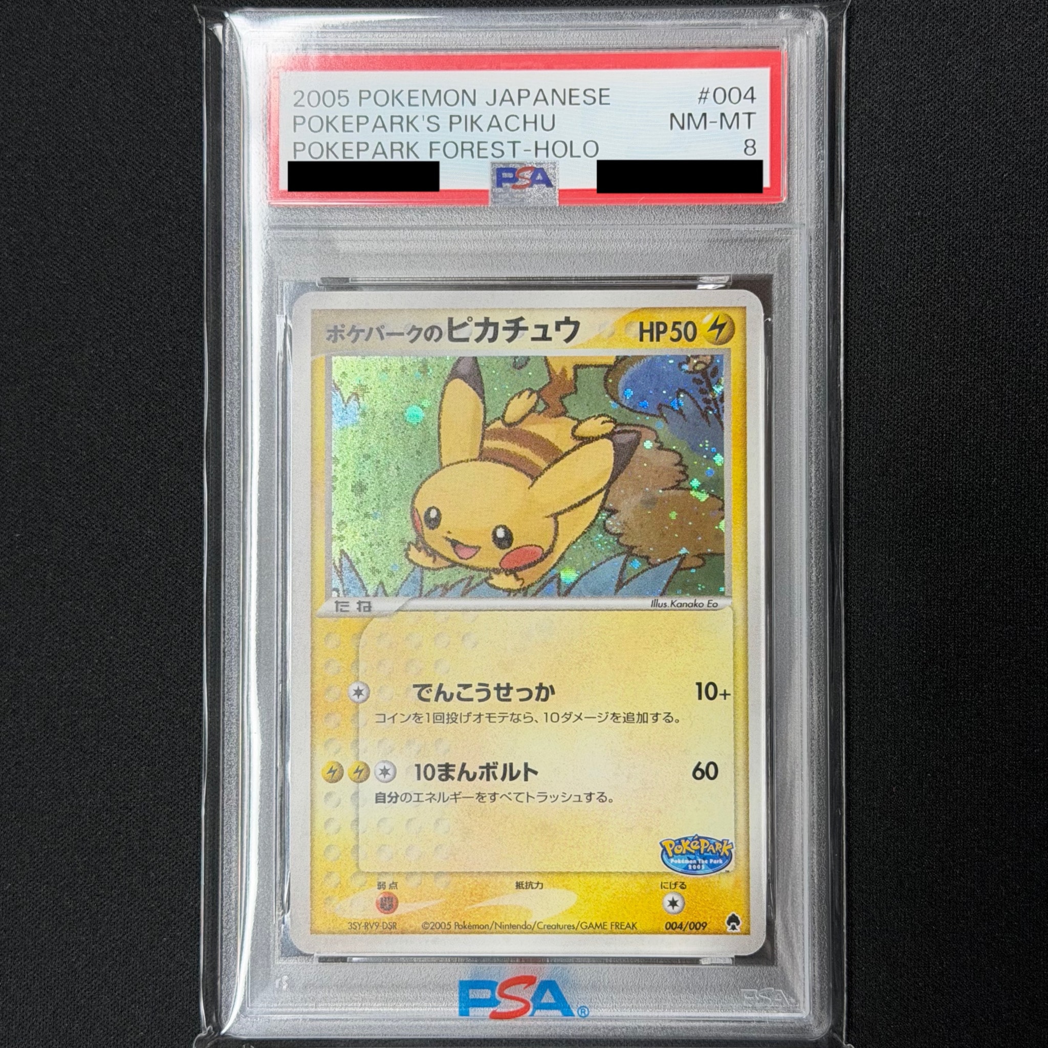 ポケパークのピカチュウ [PCG 004/009](ポケパークプレミアムファイル