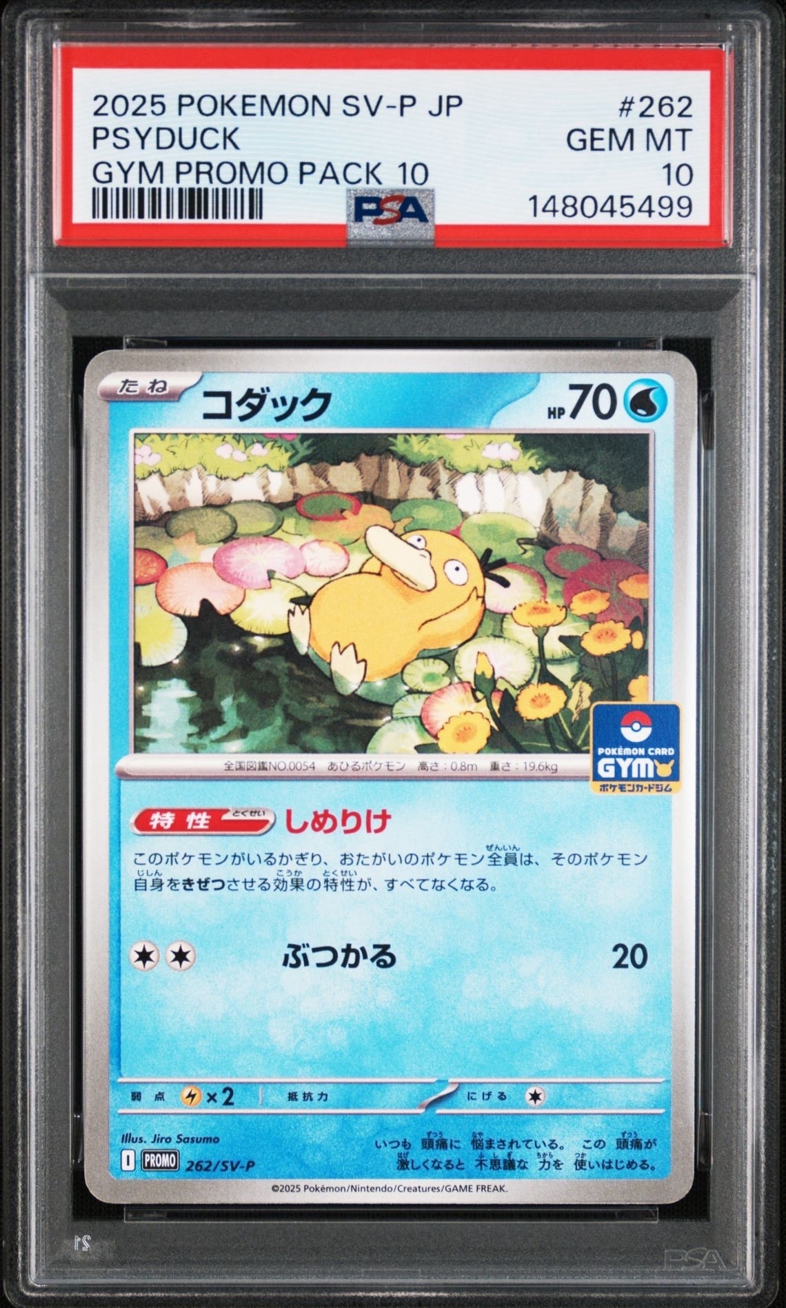 コダック P [SV-P 262](プロモ「第10弾」) PSA10 連番 コダック P [SV-P 262](プロモカードパック「第10弾」)の新品/中古