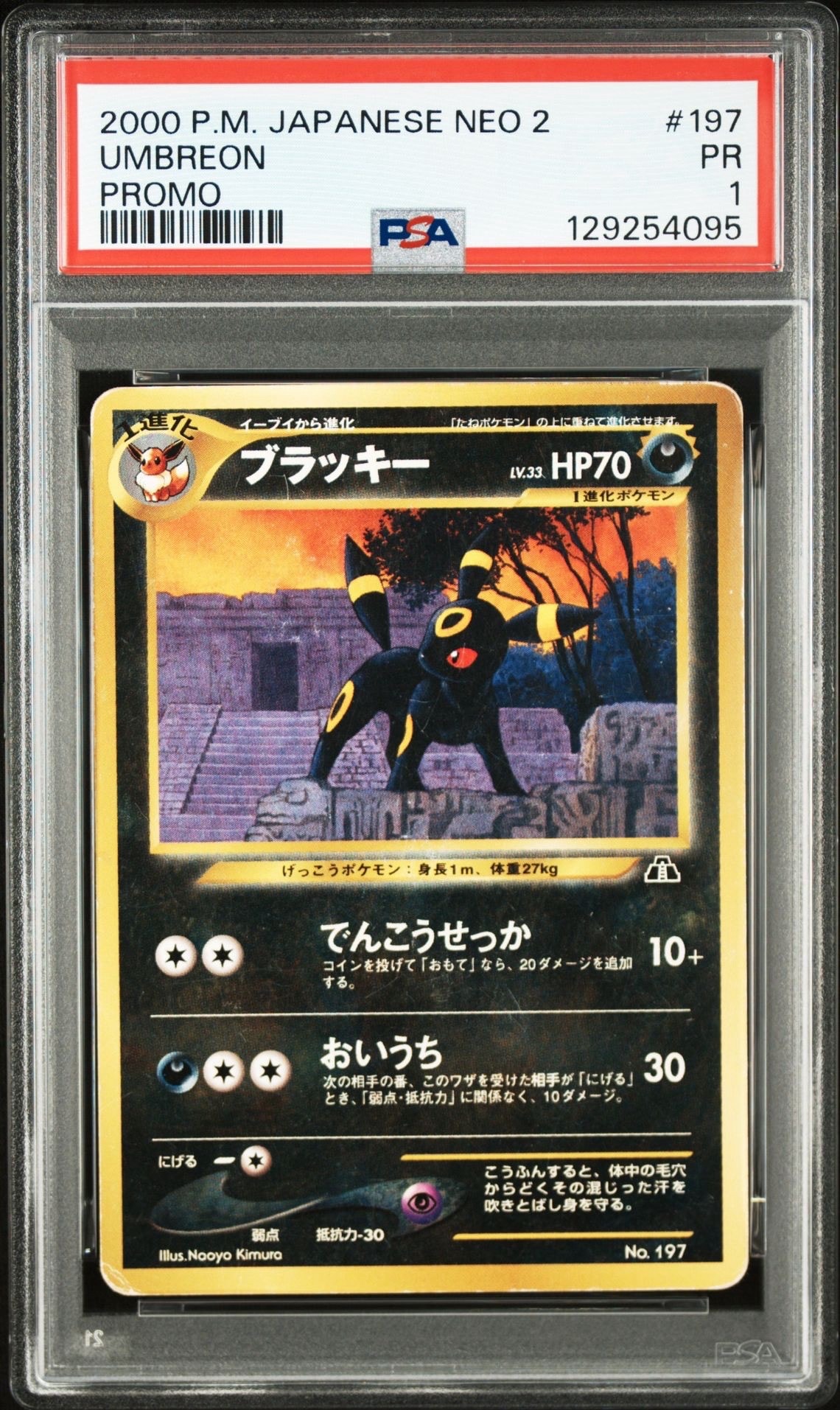 PSA8以下】ブラッキープレミアムファイル2: 旧裏[neoP2 No.197