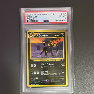 PSA8以下】ブラッキープレミアムファイル2: 旧裏[neoP2 No.197 PSA8以下】ブラッキープレミアムファイル2: 旧裏[neoP2 No.197
