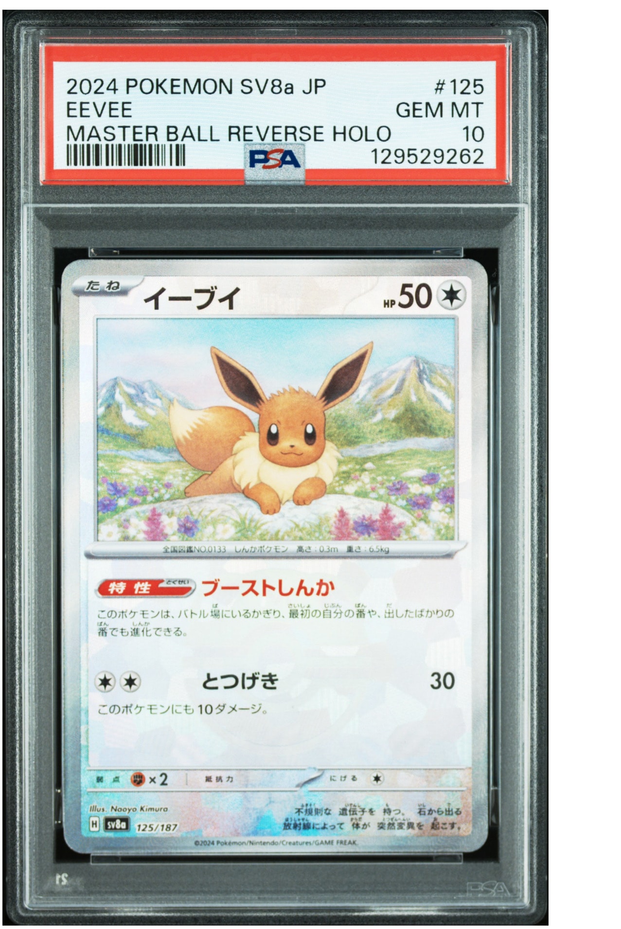 イーブイ :マスターボールミラー [SV8a 125/187](ハイクラスパック「テラスタルフェスex」)